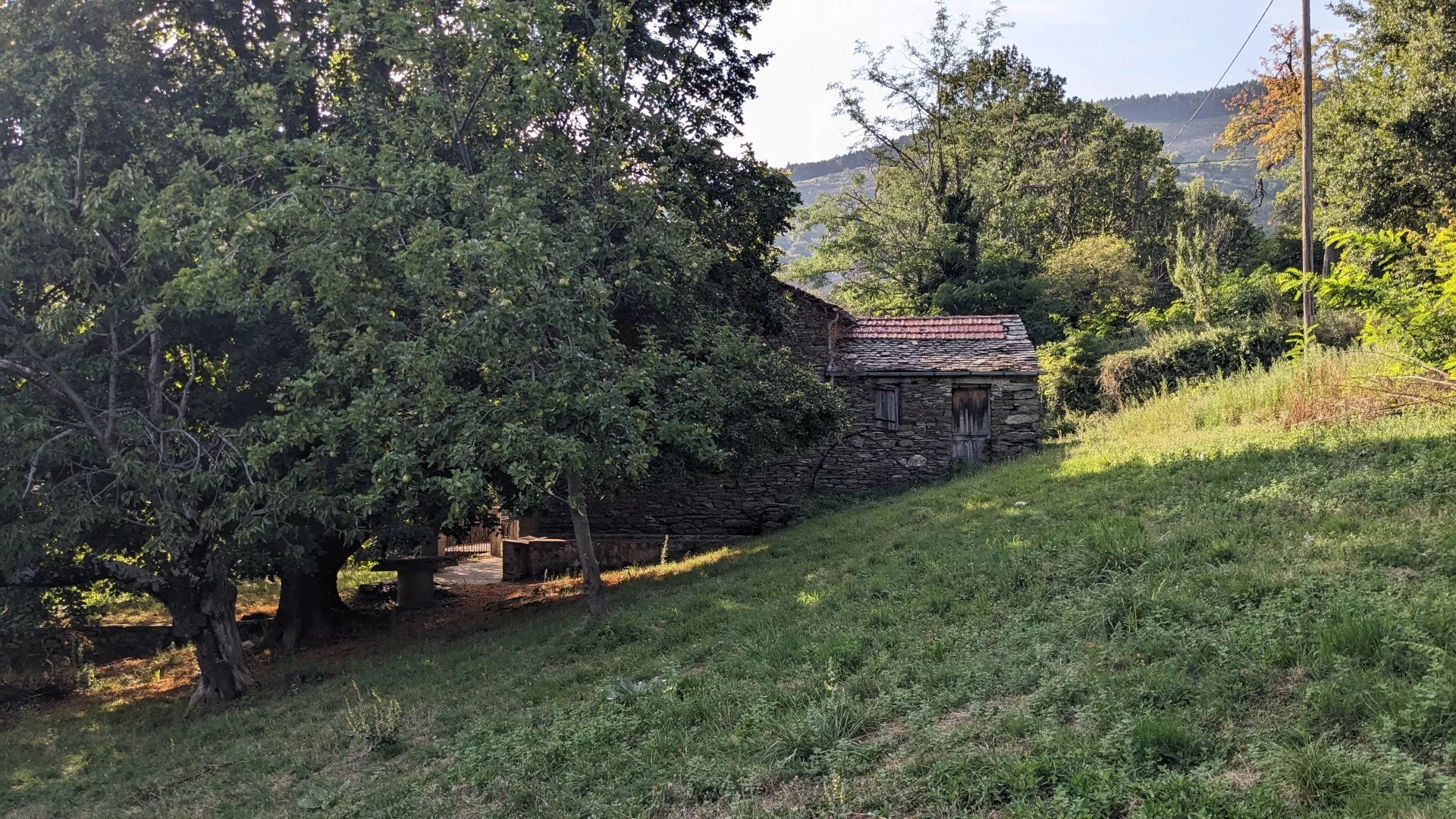 Outro no Saint-Frezal-de-Ventalon, Occitânia 12779243