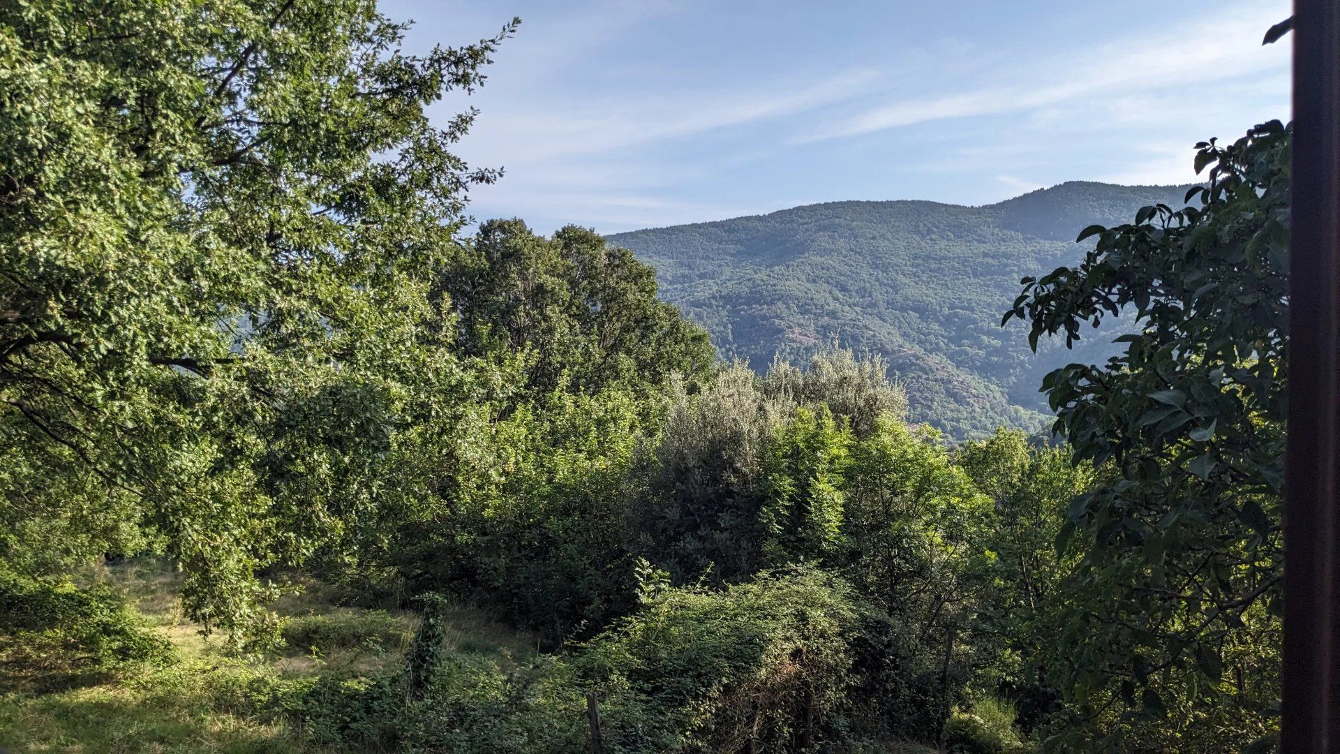 Outro no Saint-Privat-de-Vallongue, Lozère 12779243