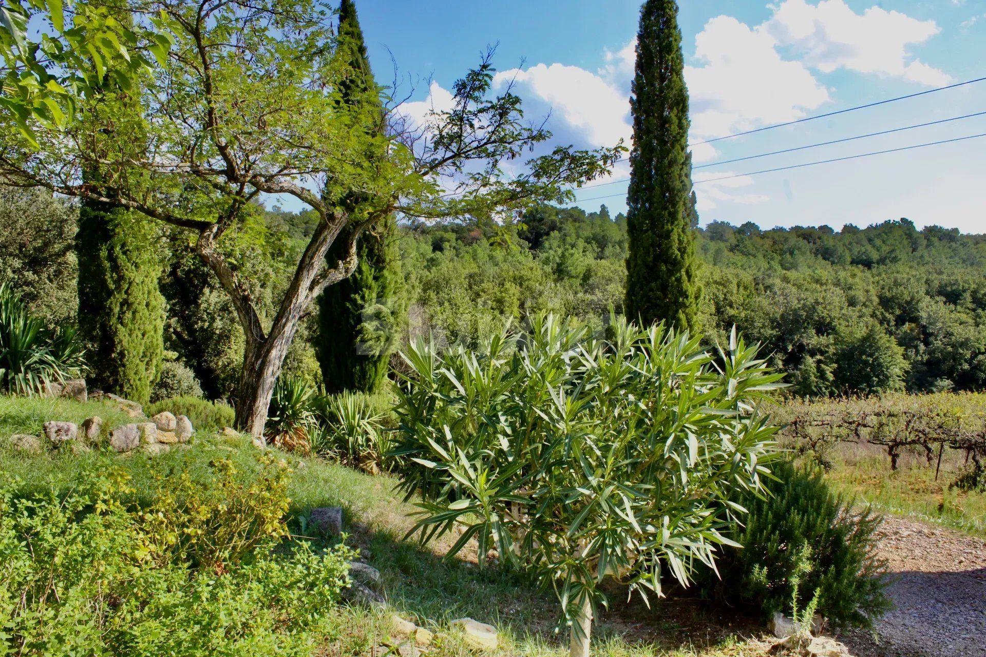 Andere im La Garde-Adhémar, Drôme 12780320