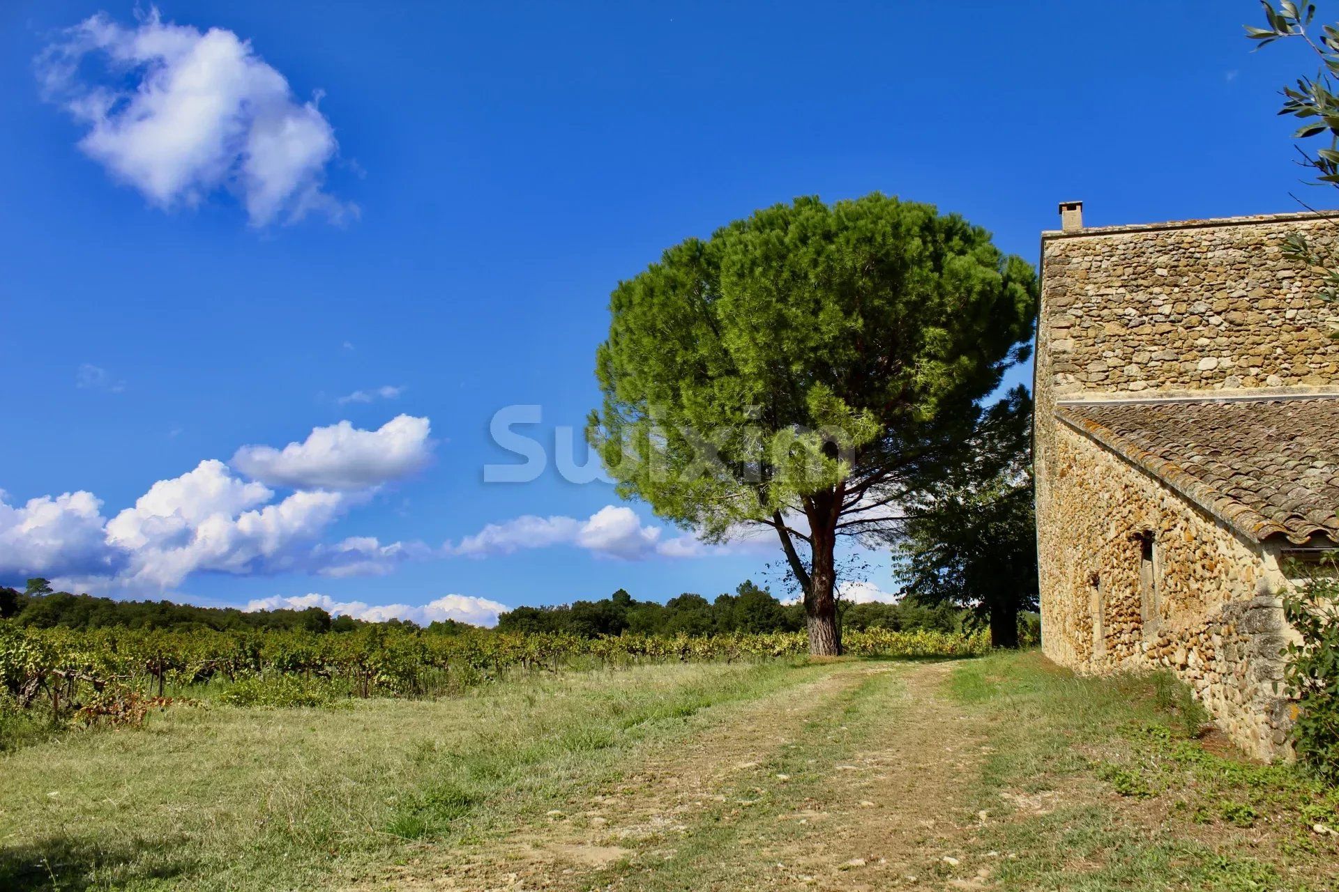 מִסְחָרִי ב La Garde-Adhémar, Drôme 12780320