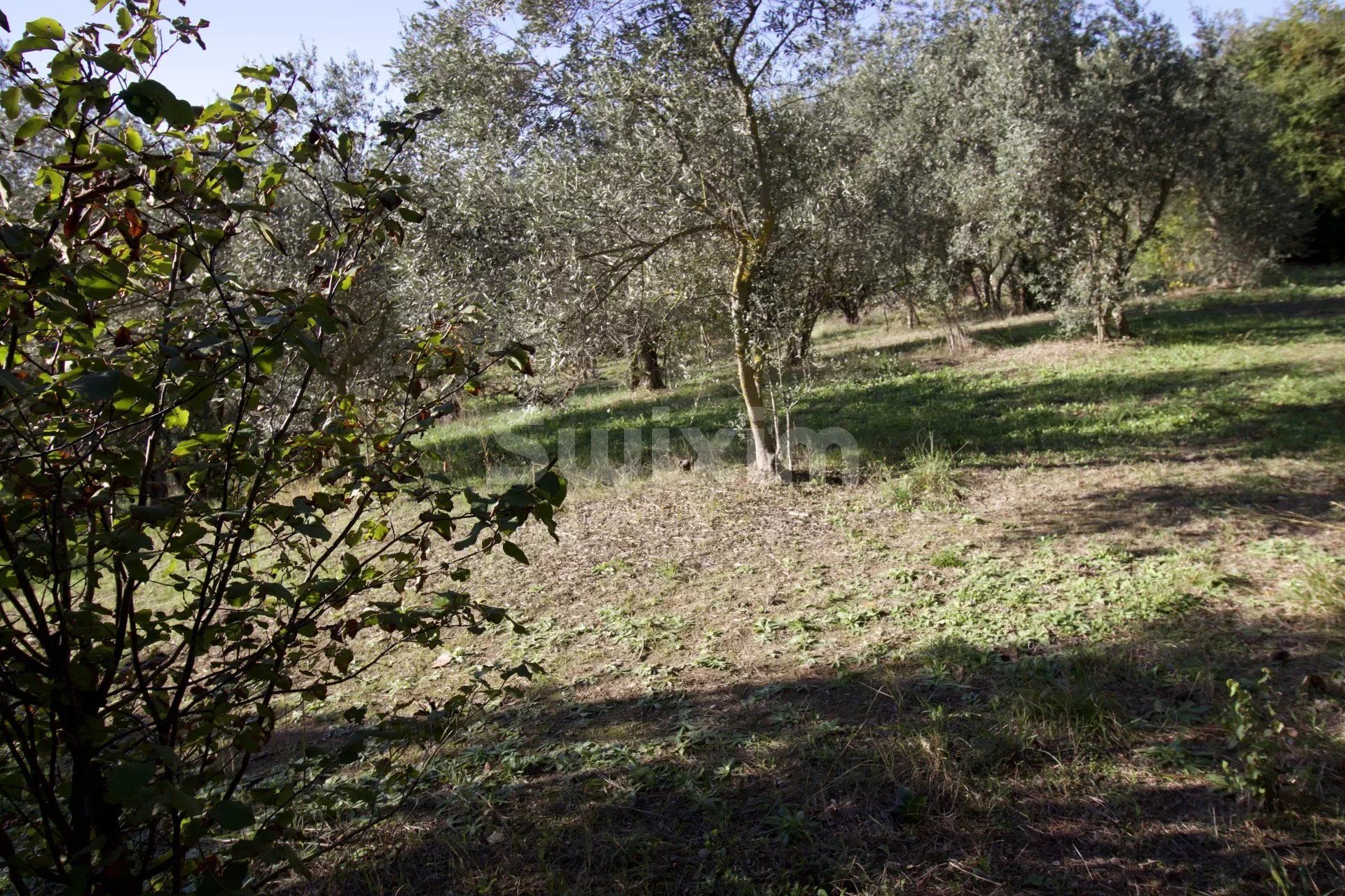 Commerciale nel Aix-en-Provence, Bouches-du-Rhône 12780566