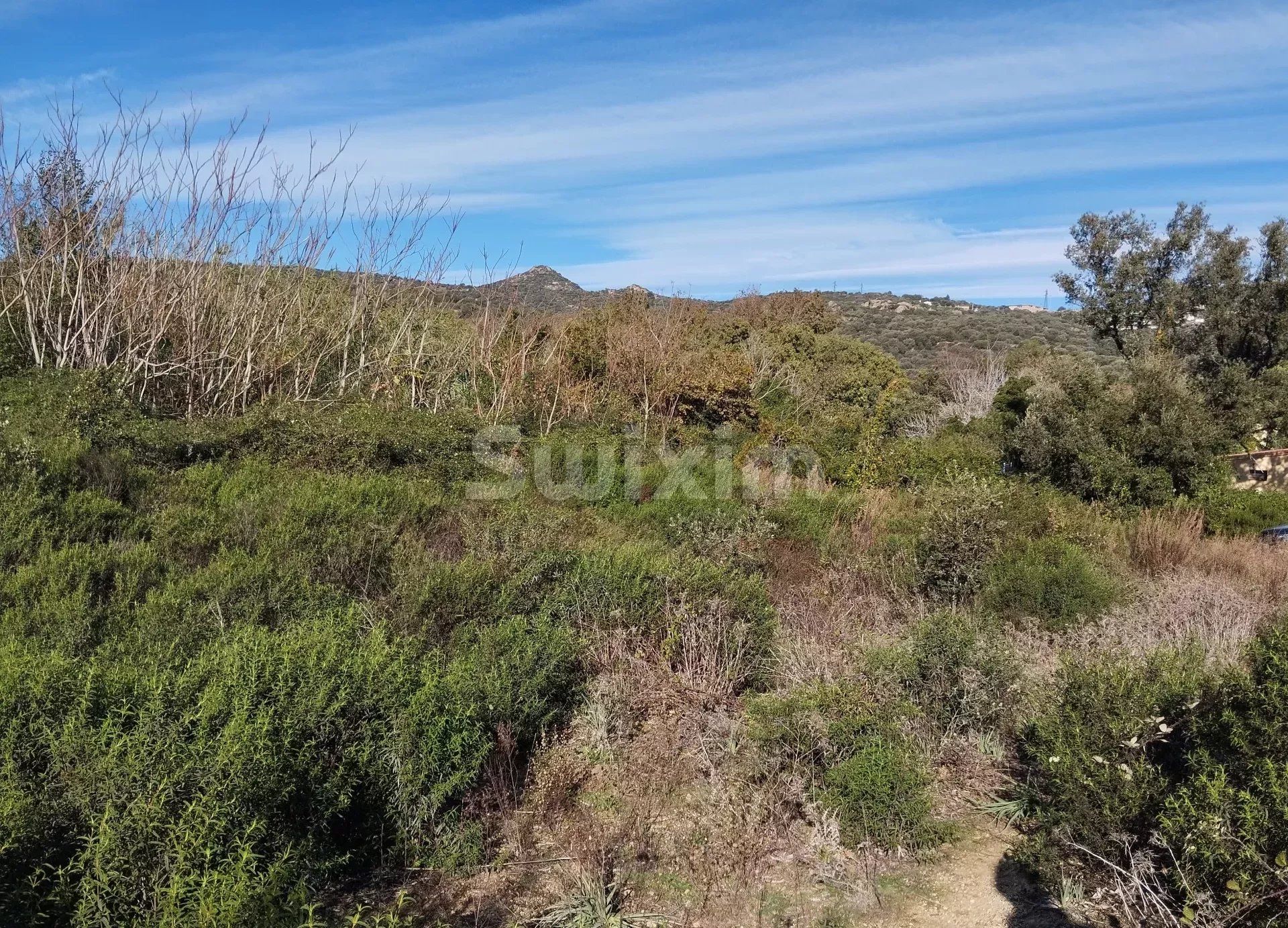 Land in L'Île-Rousse, Corsica 12780736