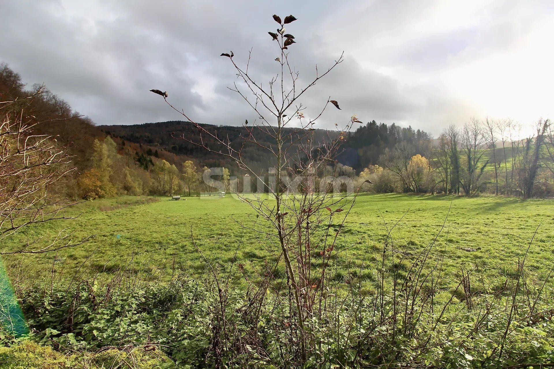 公寓 在 Montbéliard, Doubs 12780786