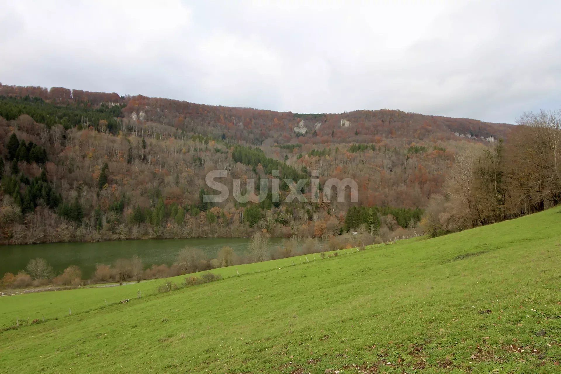 Casa nel Saint-Hippolyte, Doubs 12780787