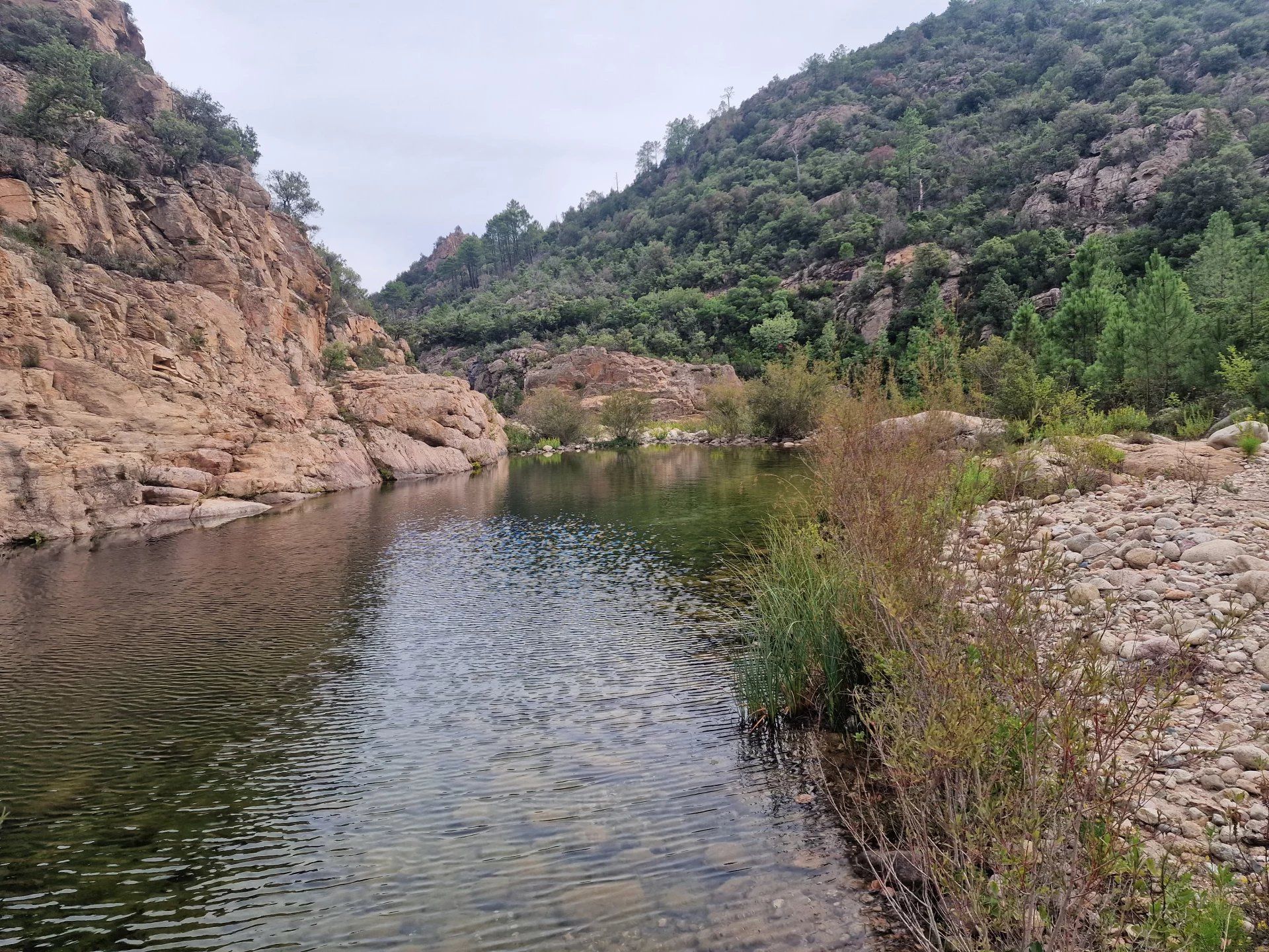 Other in Sari-Solenzara, Corse-du-Sud 12780856