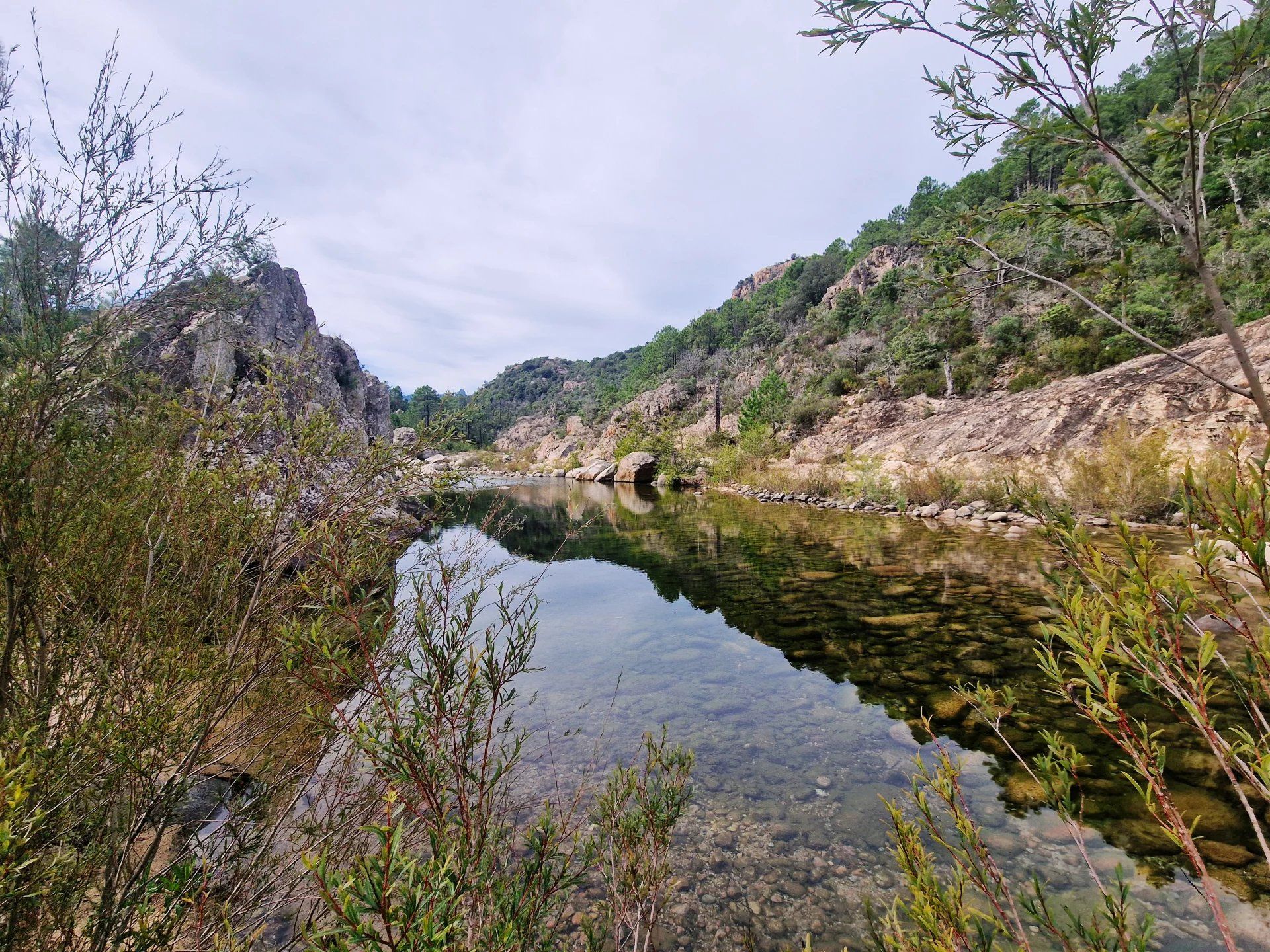 다른 에 Sari-Solenzara, Corse-du-Sud 12780856