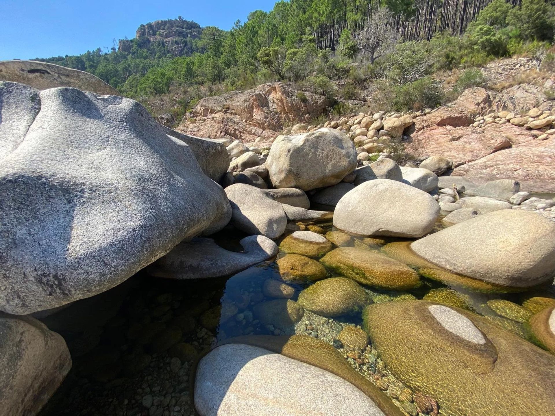 Altro nel Sari-Solenzara, Corse-du-Sud 12780856