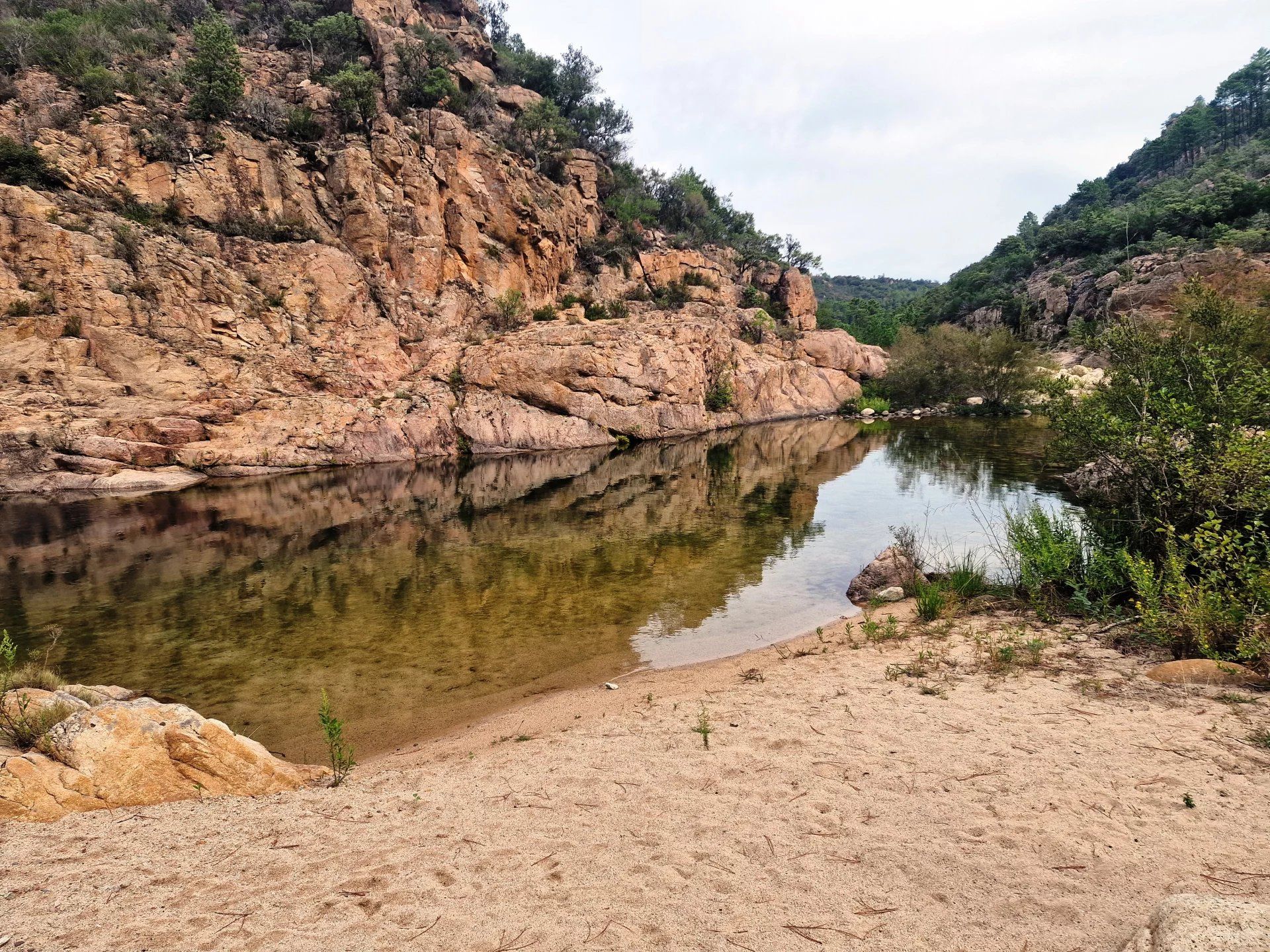 Altro nel Sari-Solenzara, Corse-du-Sud 12780856