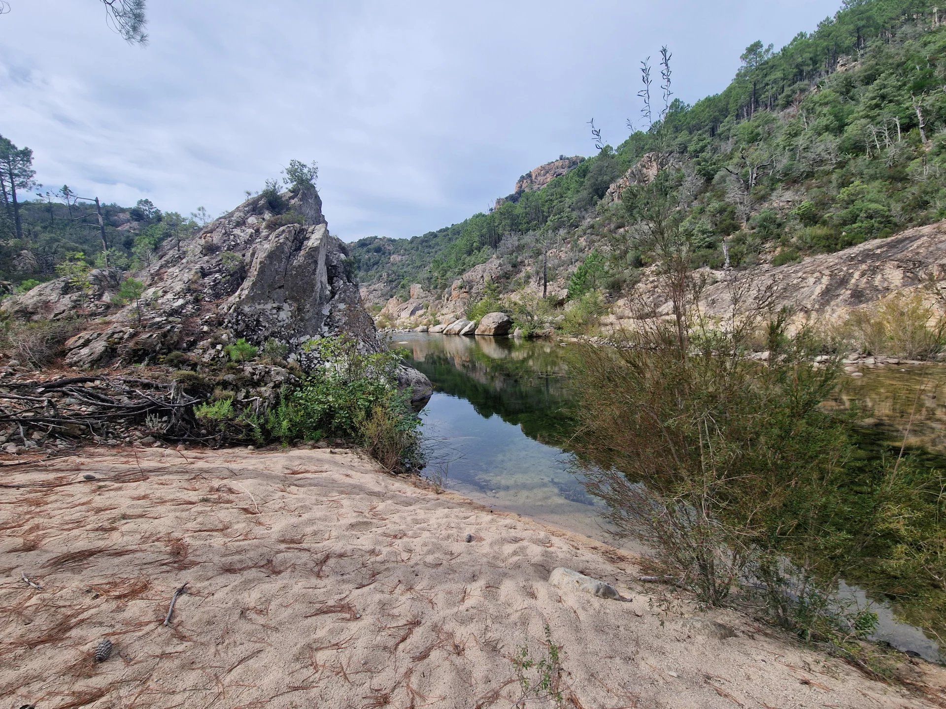 Altro nel Sari-Solenzara, Corse-du-Sud 12780856