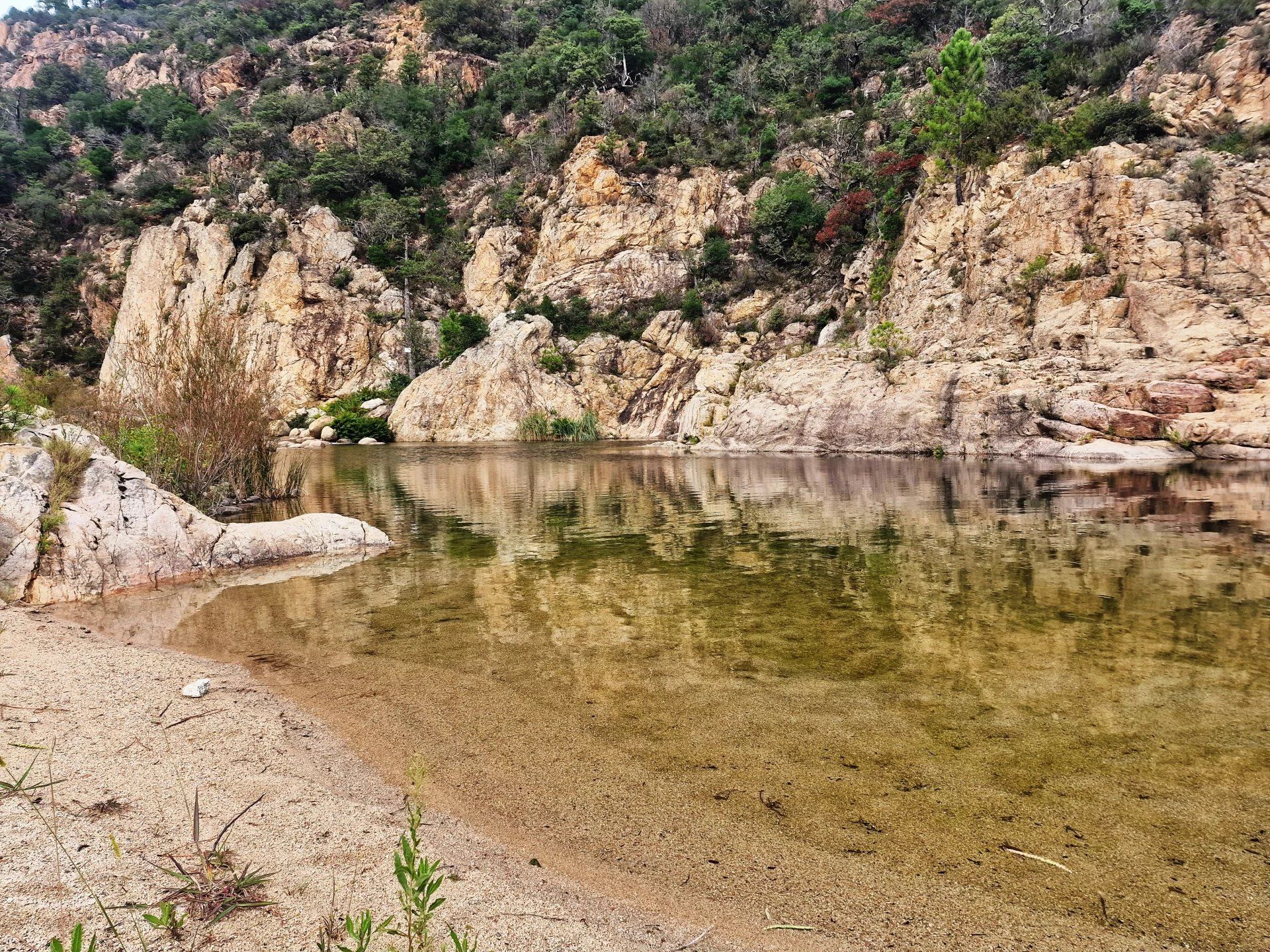 Altro nel Sari-Solenzara, Corse-du-Sud 12780856