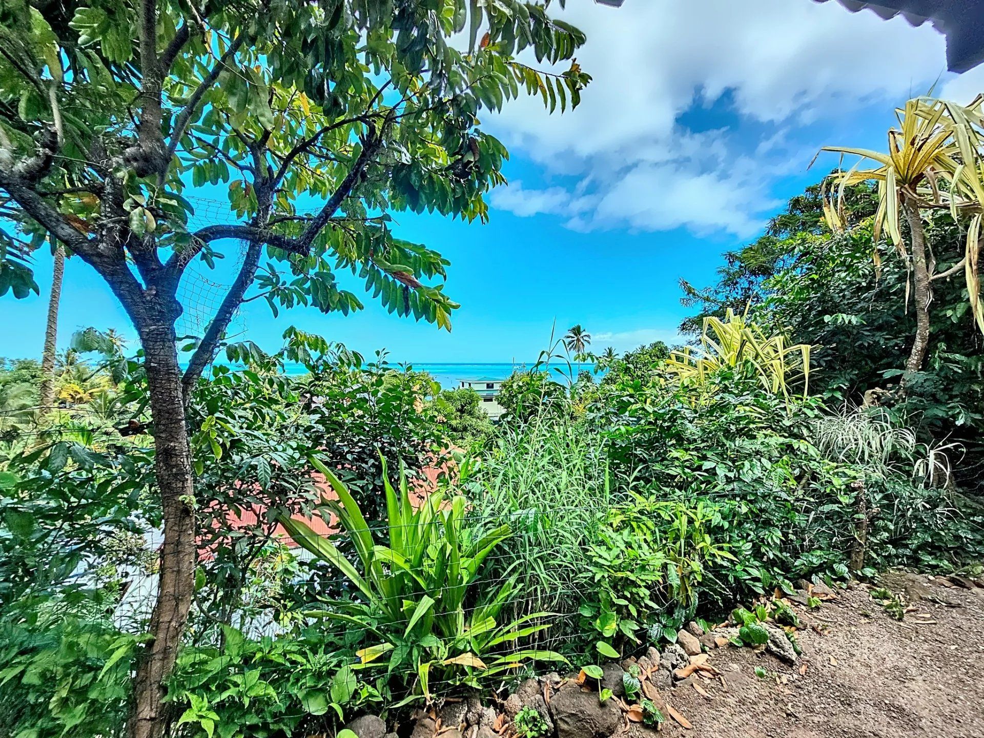 House in Moorea-Maiao, Îles du Vent 12780931