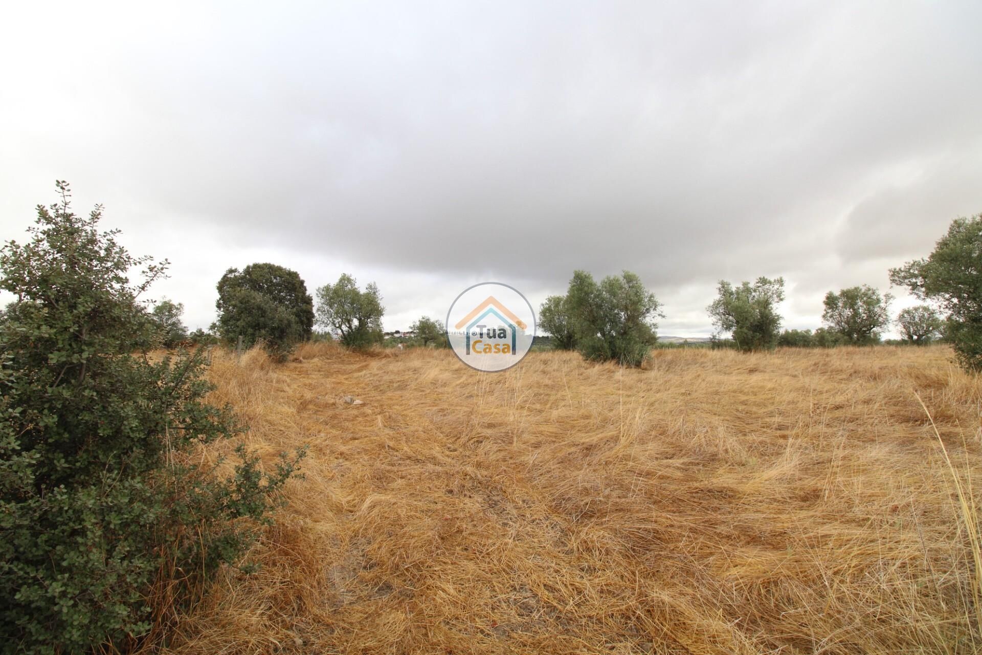 Land im Reguengos de Monsaraz, Évora District 12781233