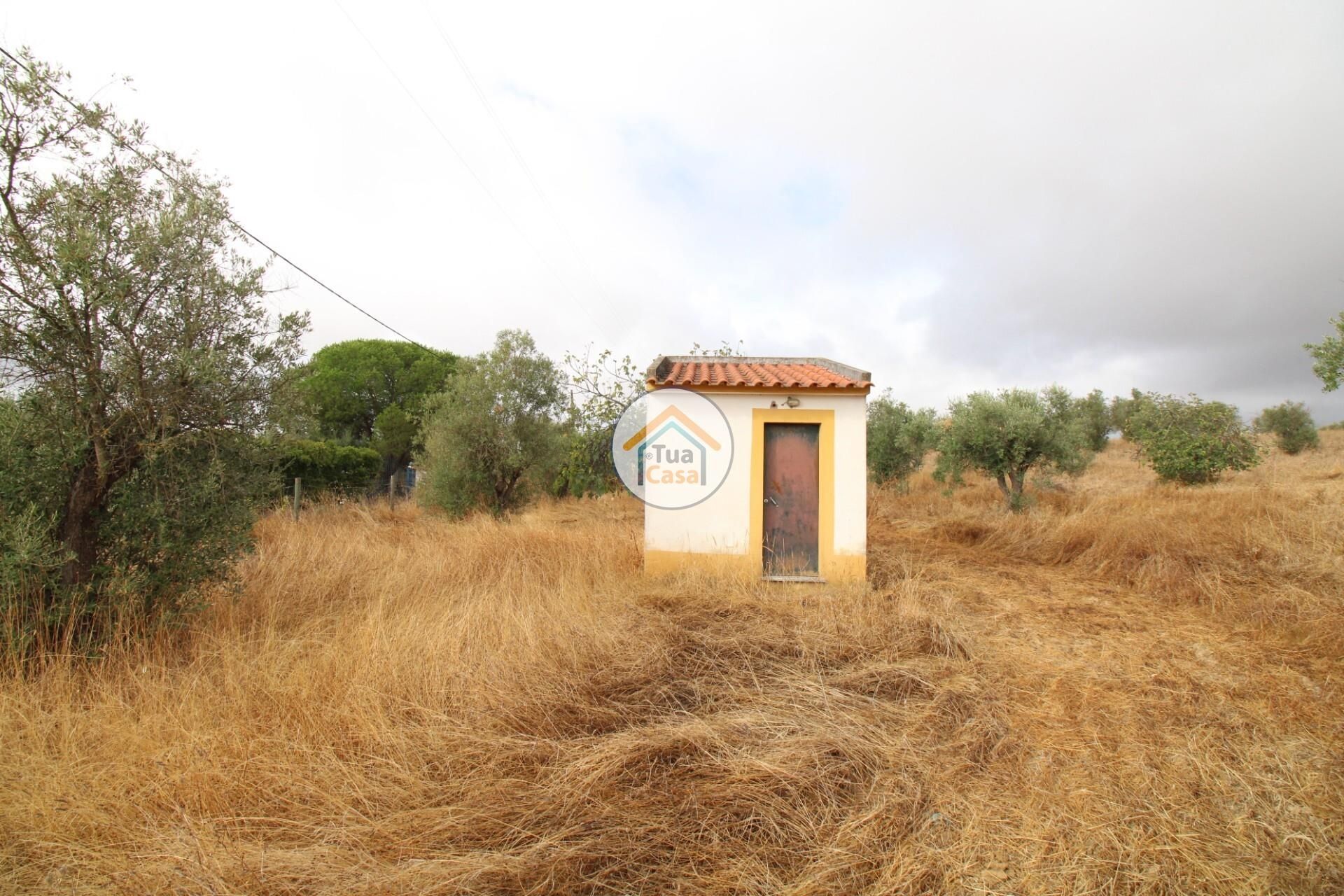 土地 在 Reguengos de Monsaraz, Évora District 12781233