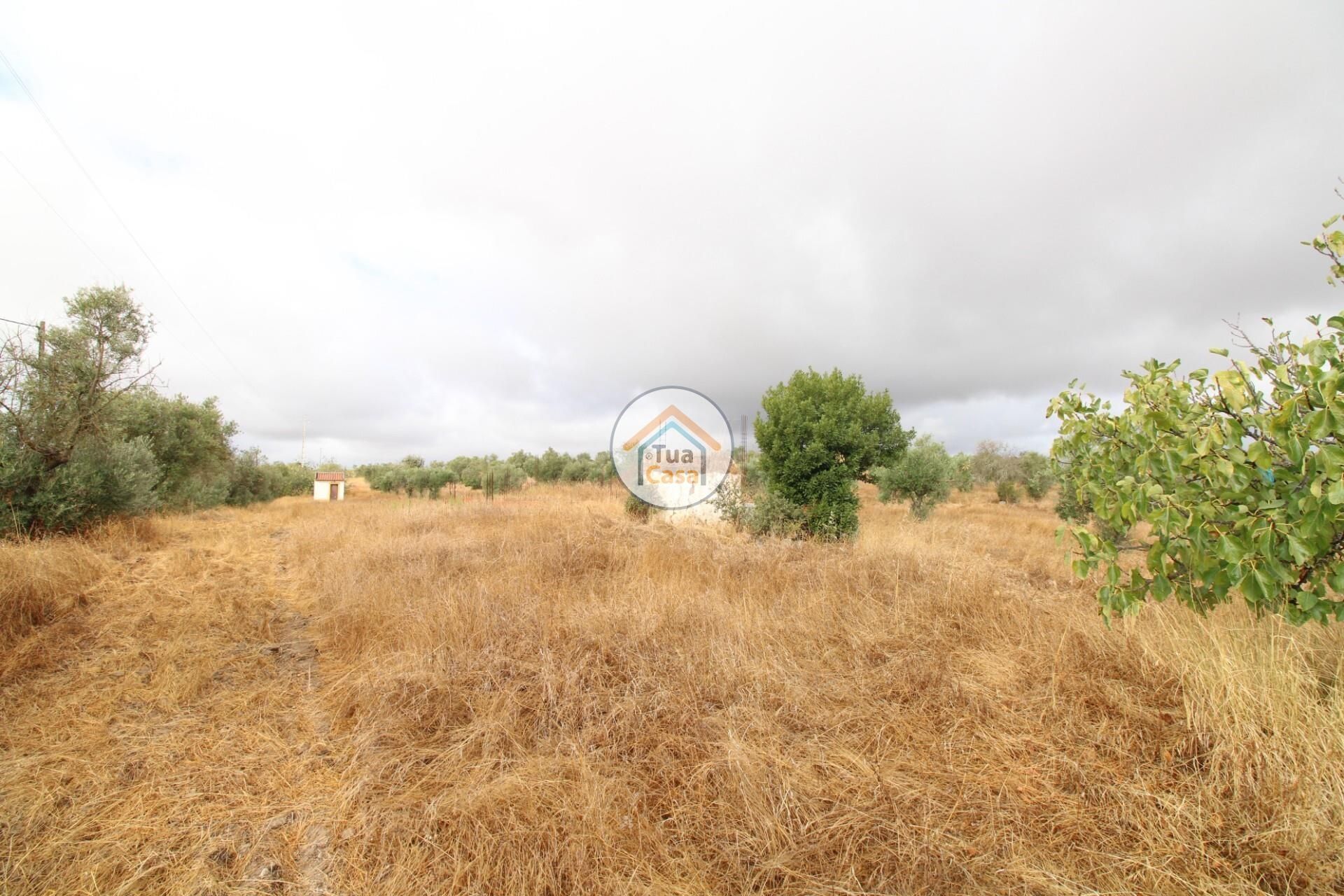 Terre dans Reguengos de Monsaraz, Évora District 12781233