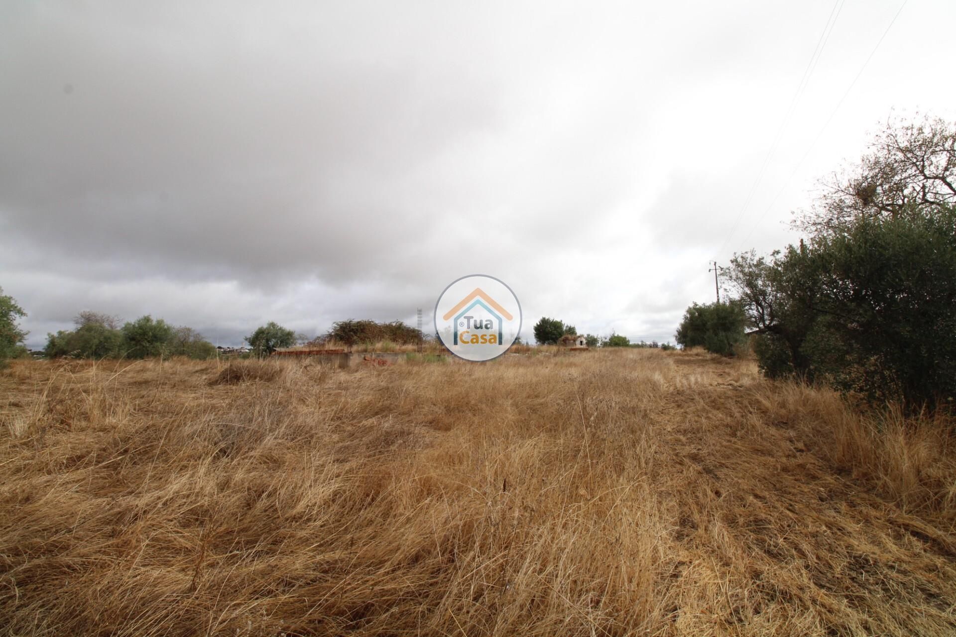 Terre dans Reguengos de Monsaraz, Évora District 12781233