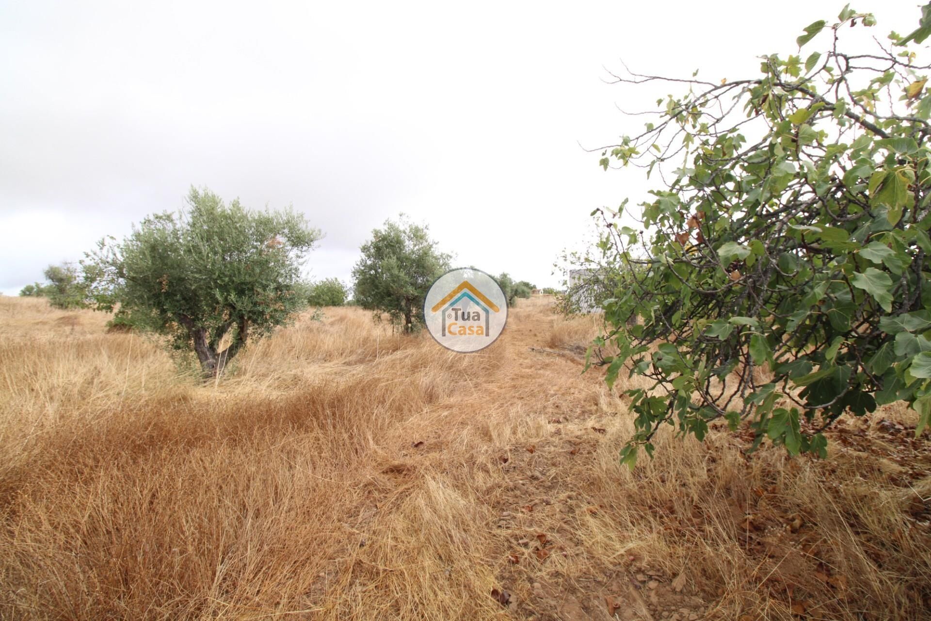 Land im Reguengos de Monsaraz, Évora District 12781233