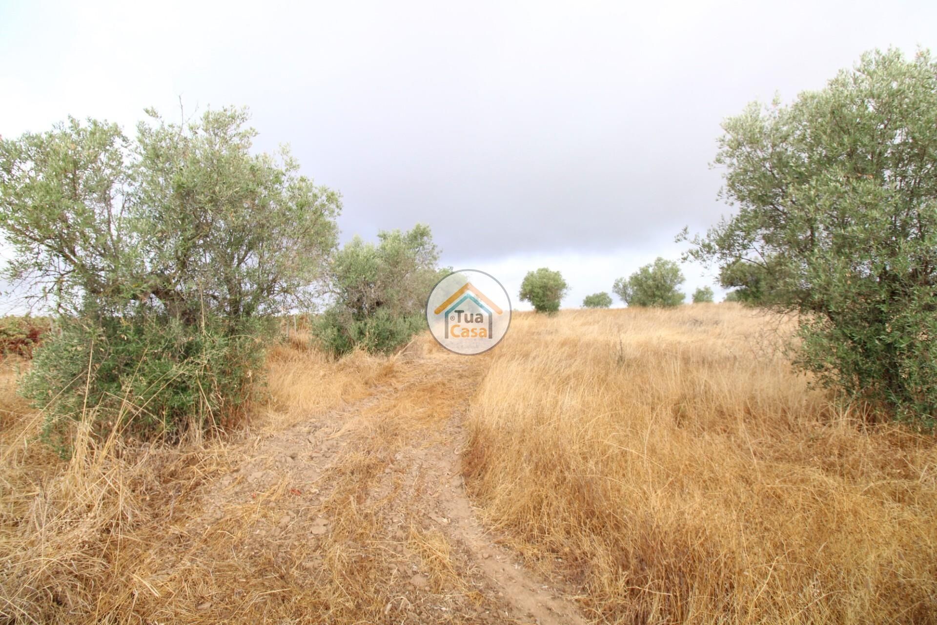 Terre dans Reguengos de Monsaraz, Évora District 12781233