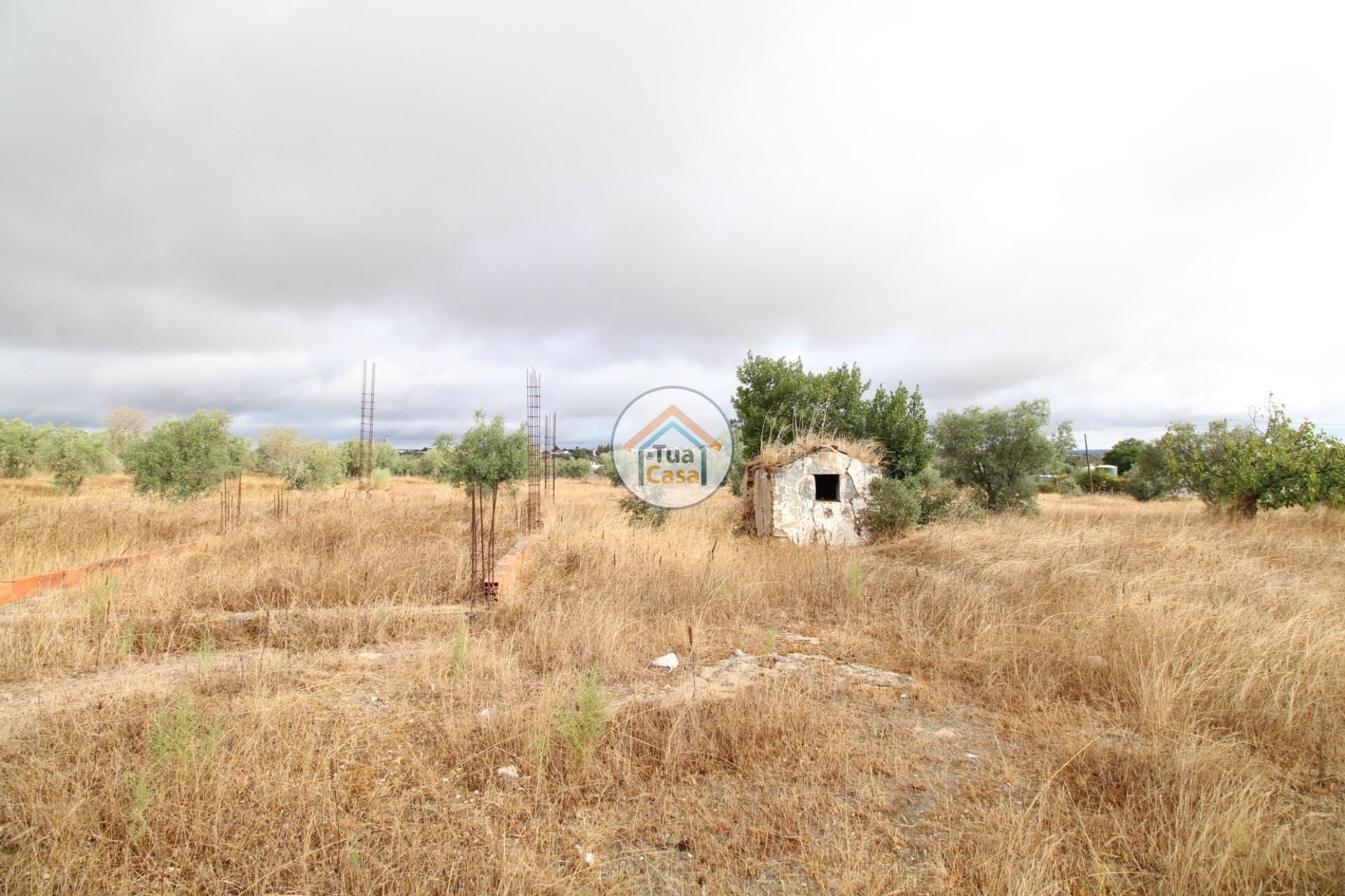 Land im Reguengos de Monsaraz, Évora District 12781233