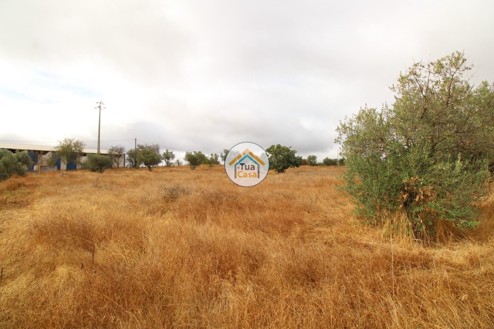 土地 在 Reguengos de Monsaraz, Évora District 12781233