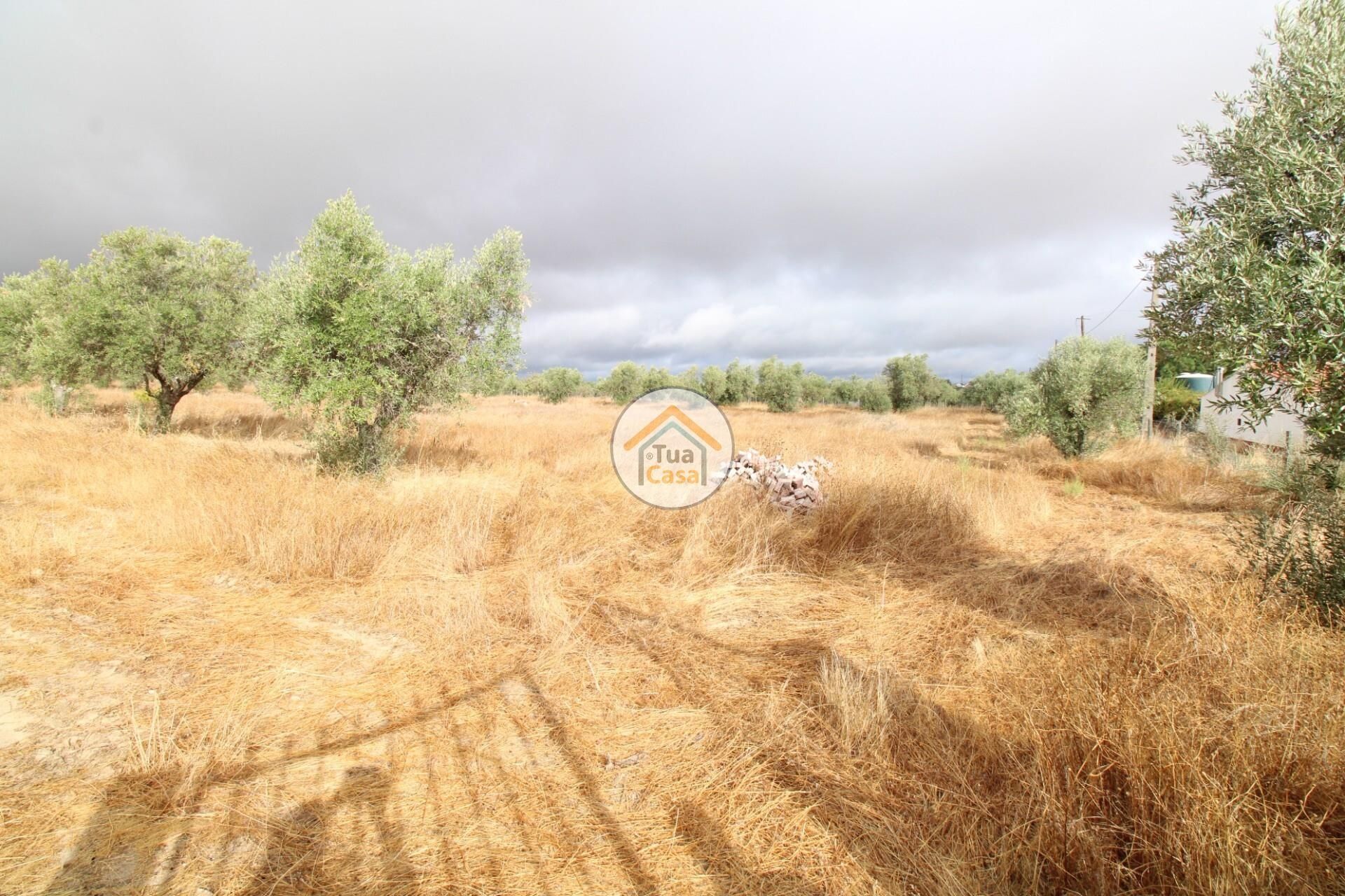 Tierra en Reguengos de Monsaraz, Évora 12781233