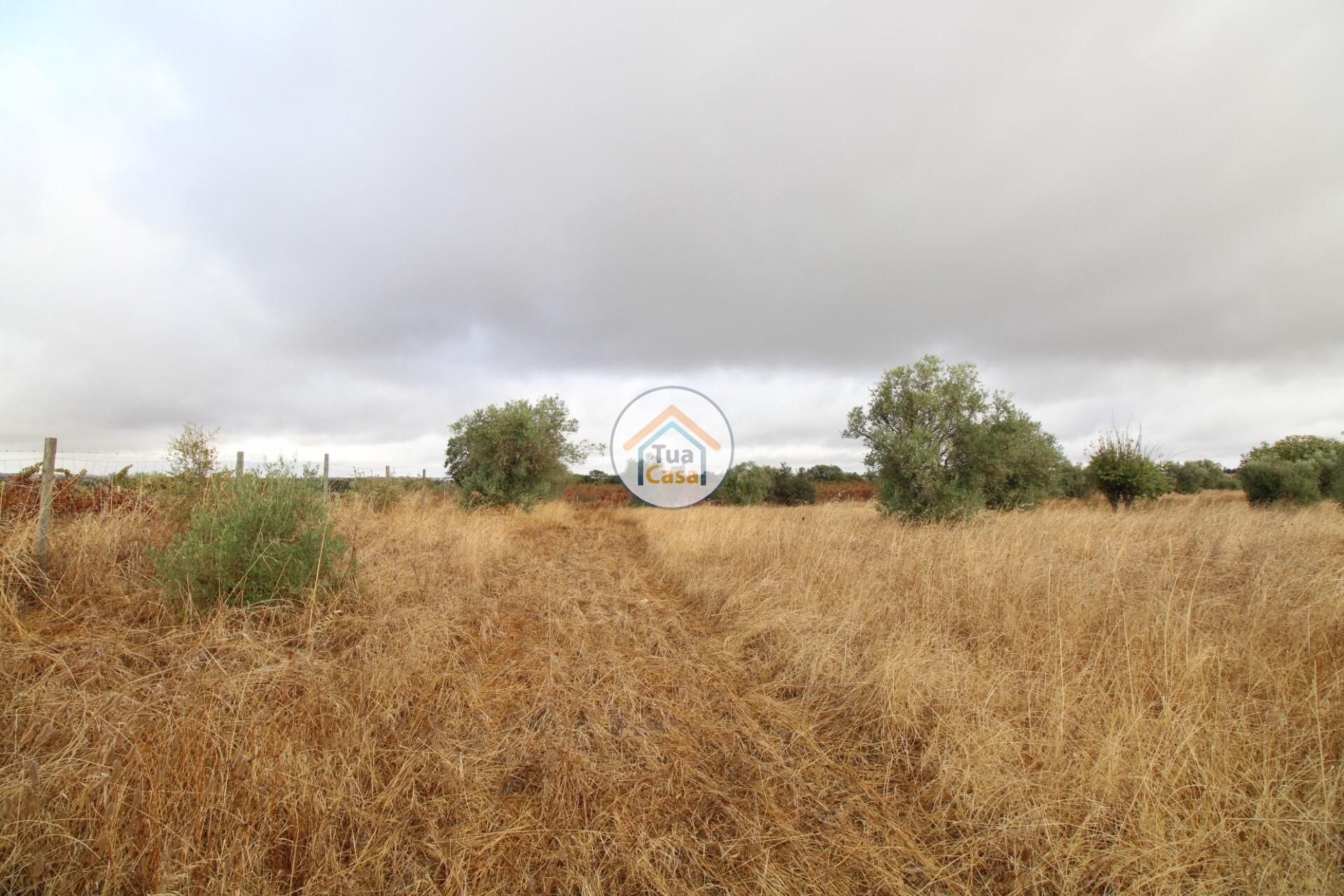 土地 在 Reguengos de Monsaraz, Évora District 12781233