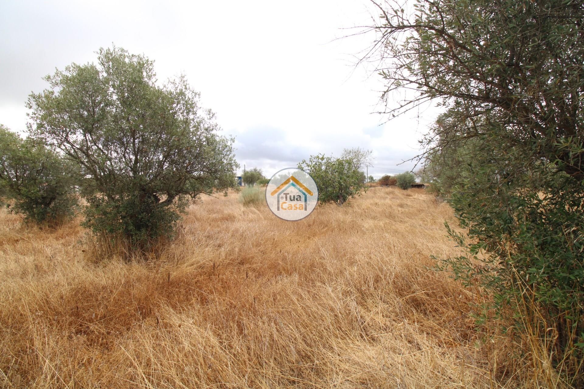 Terre dans Reguengos de Monsaraz, Évora District 12781233