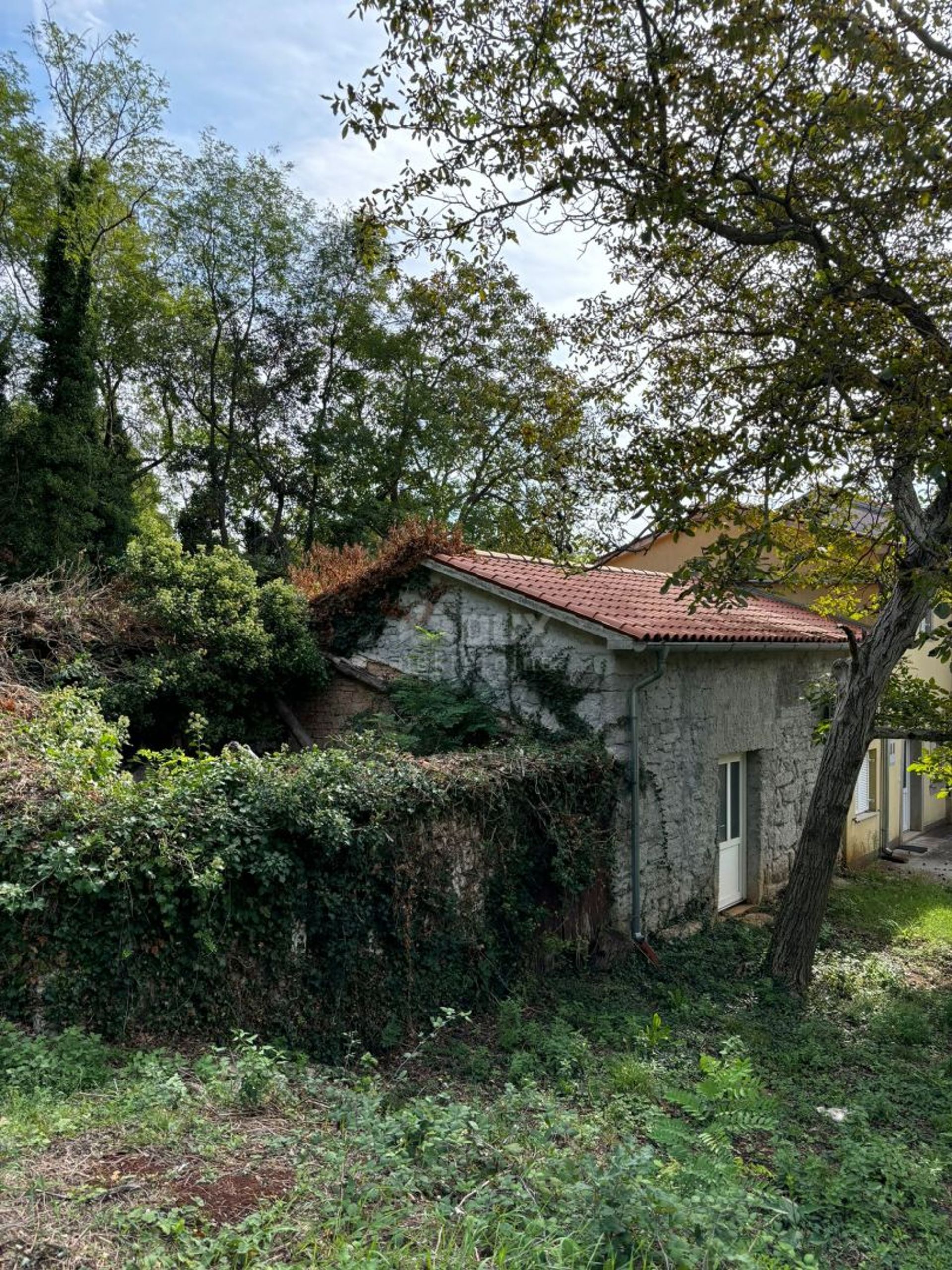 Hus i Barban, Istria County 12781959