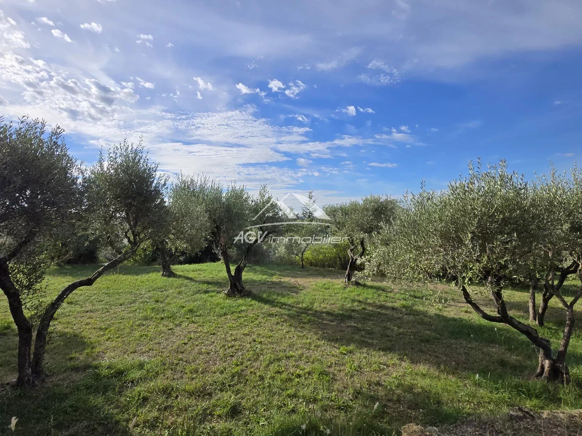 Terre dans Bières, Occitanie 12783437