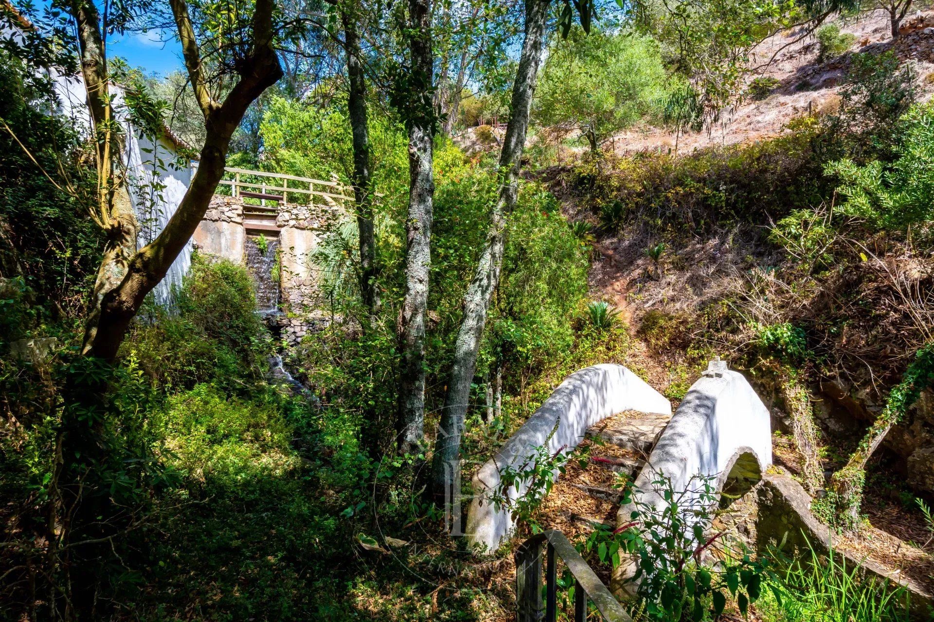 بيت في Sintra, Lisboa 12785012