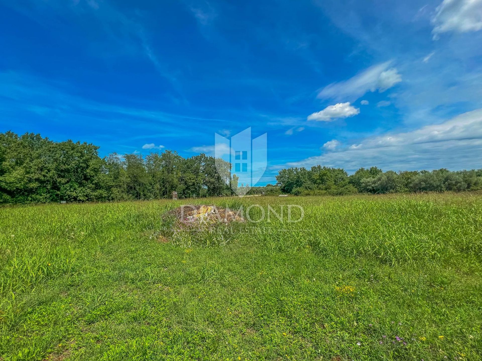 Land in Novigrad, Istria County 12785383