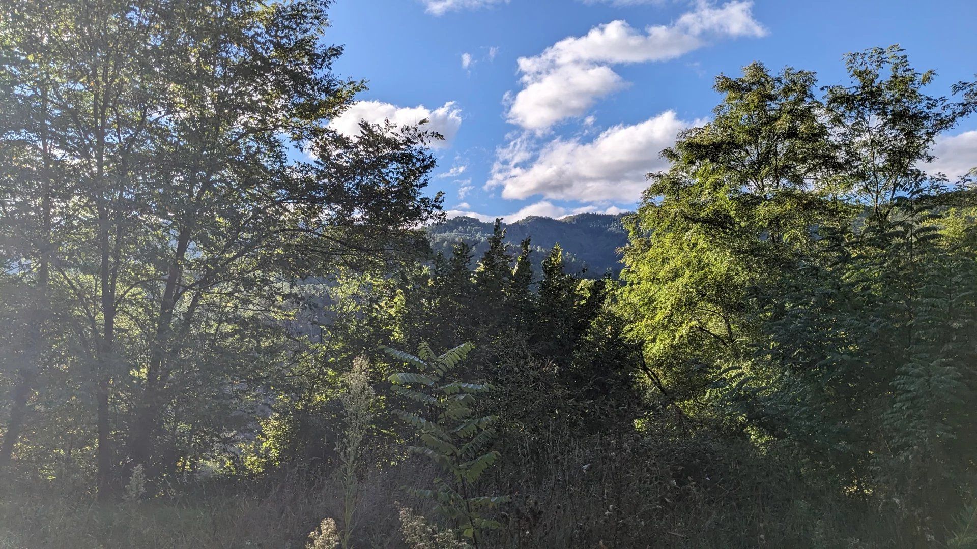 Tanah dalam Le Collet-de-Deze, Occitanie 12785953