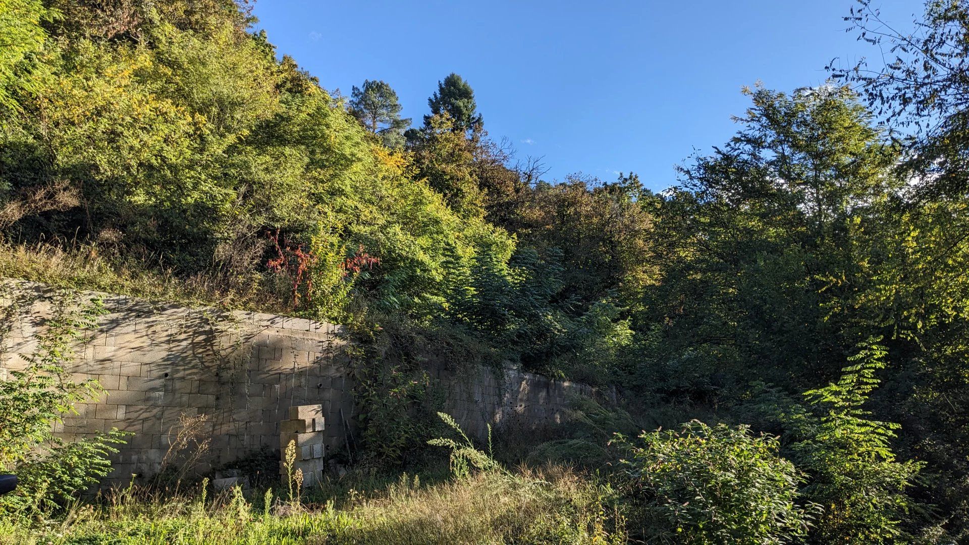 Tierra en Le Collet-de-Dèze, Occitania 12785953