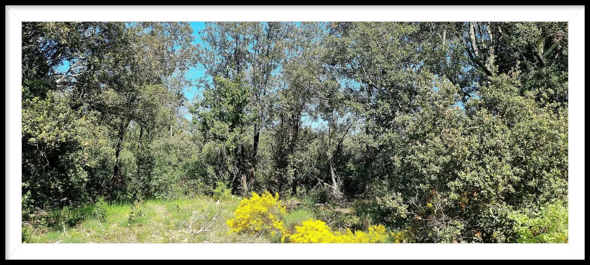 Terre dans Orgnac-l'Aven, Auvergne-Rhone-Alpes 12785983