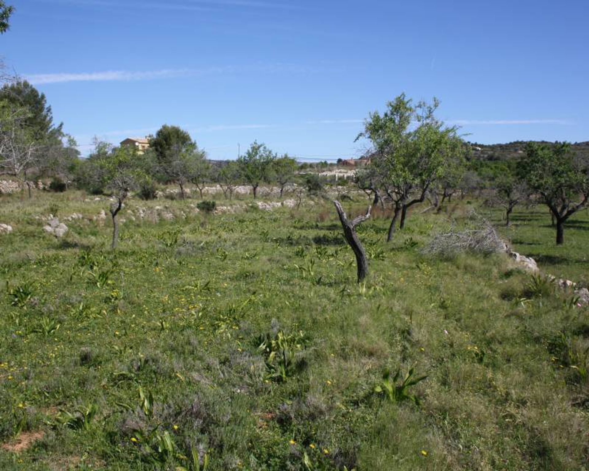 σπίτι σε Benissa, Comunitat Valenciana 12789414