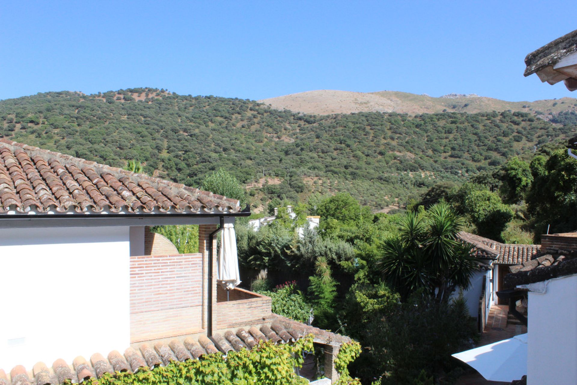 Tierra en Ronda, Andalucía 12791113