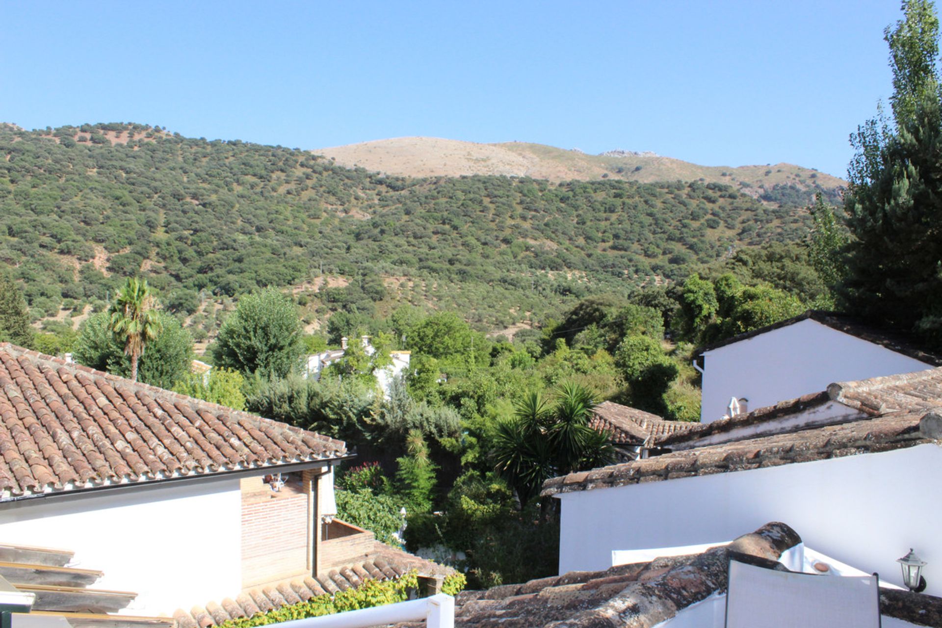 Земельные участки в Ronda, Andalucía 12791113