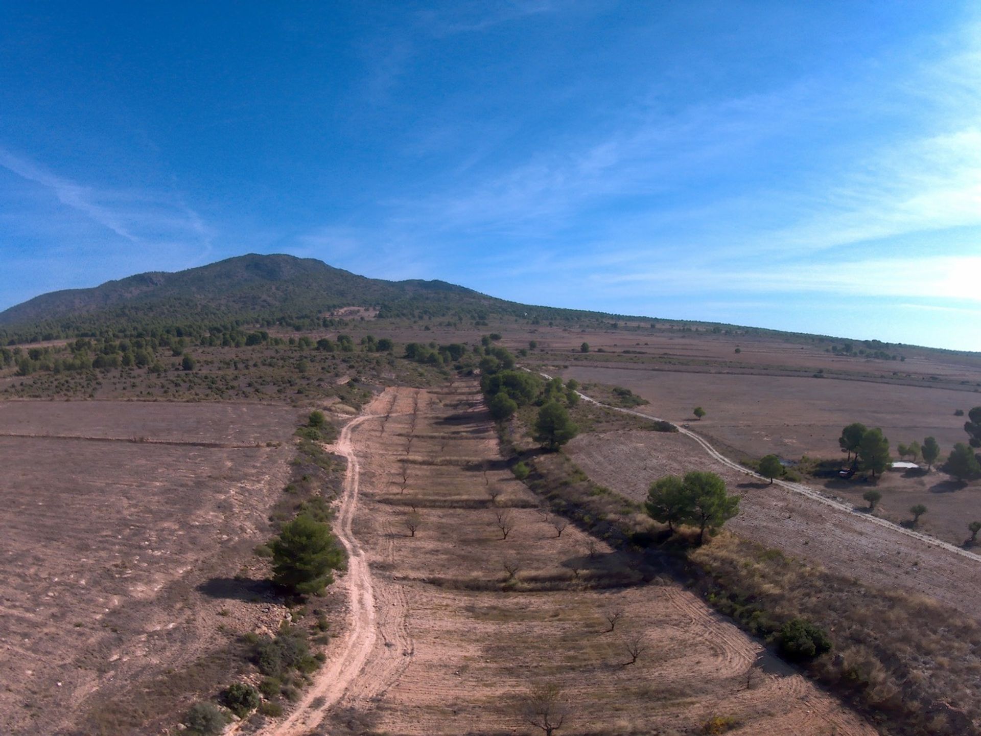 loger dans Yecla, Región de Murcia 12791165