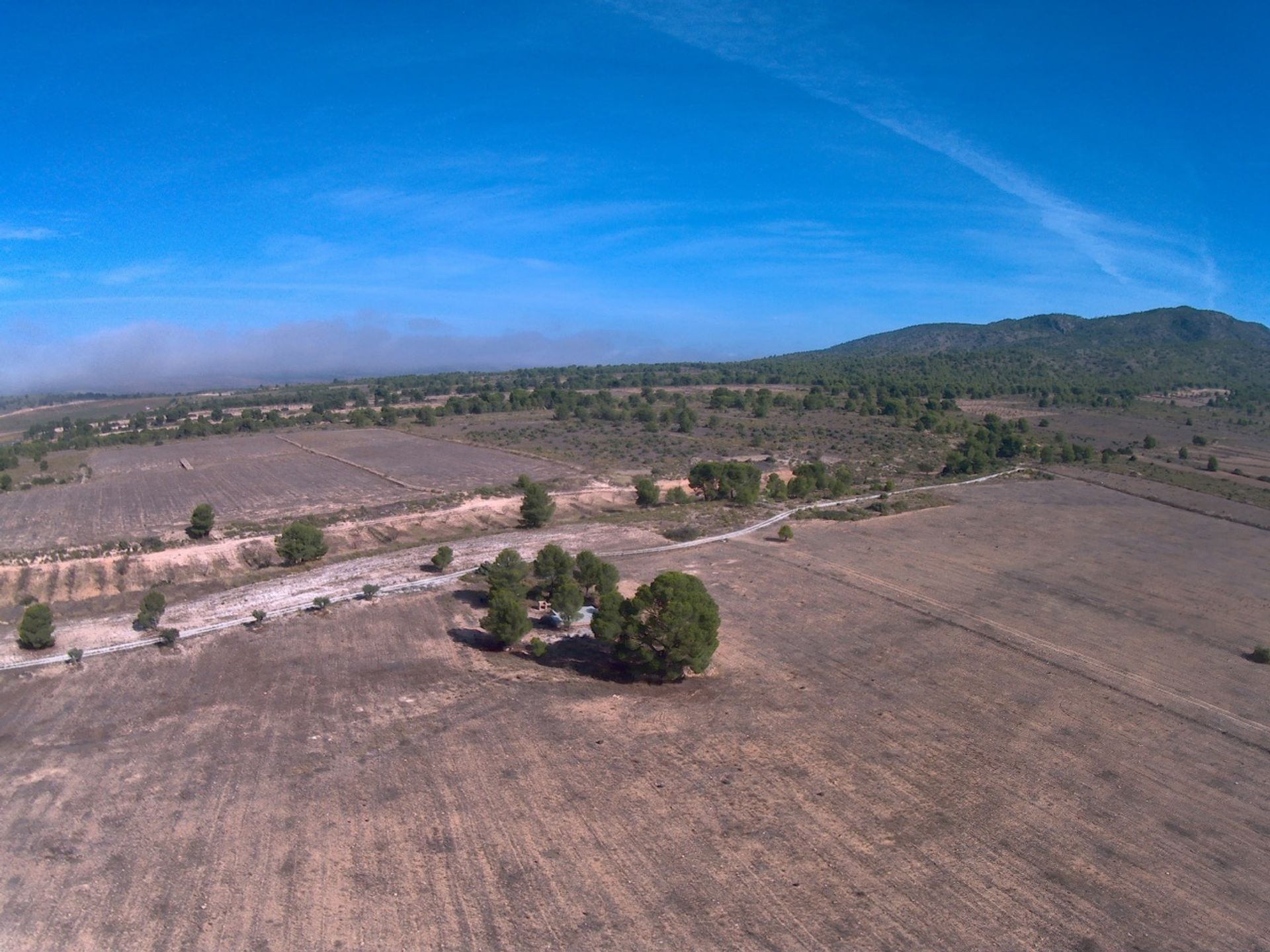 بيت في Yecla, Región de Murcia 12791165