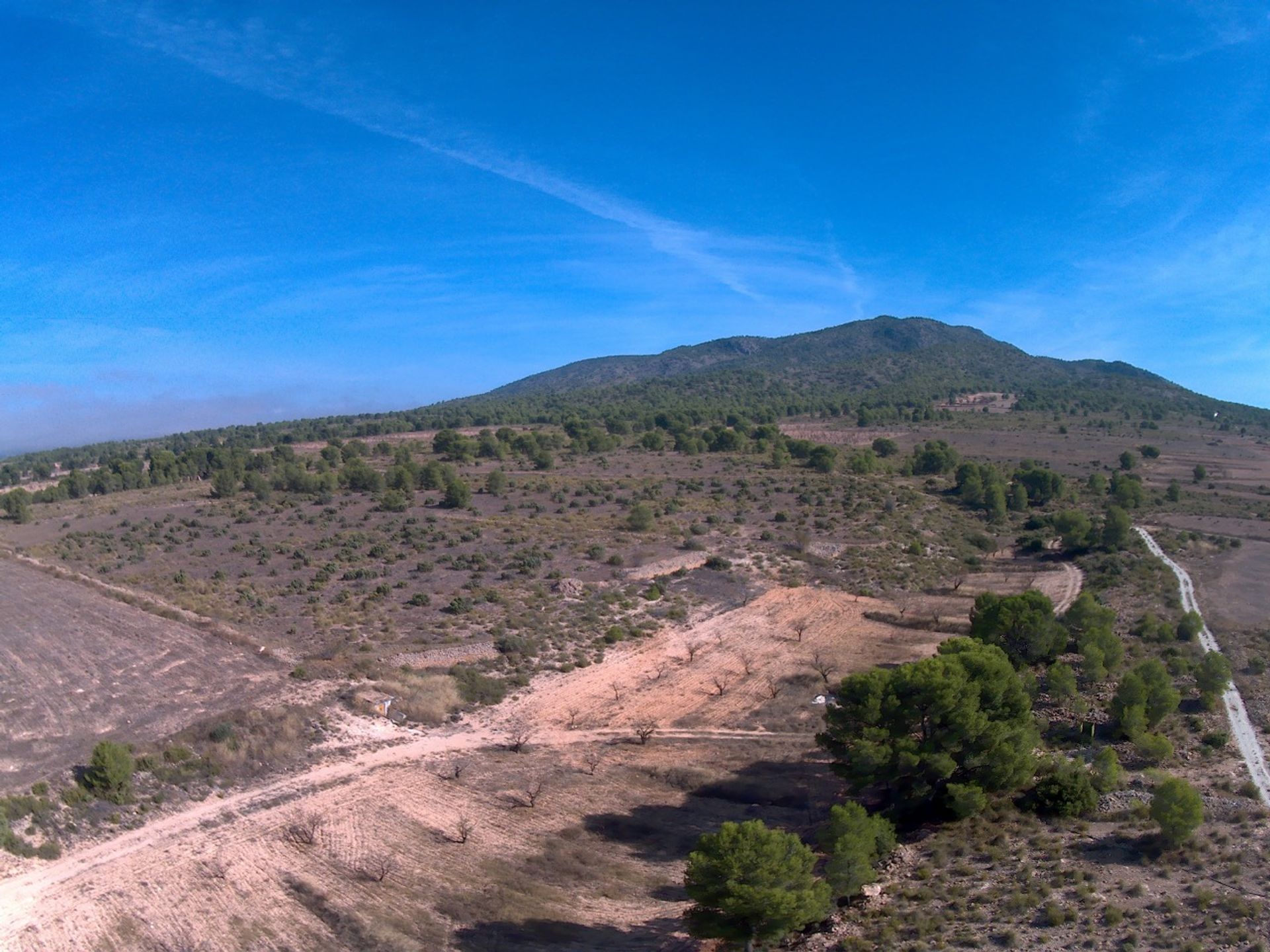 بيت في Yecla, Región de Murcia 12791165