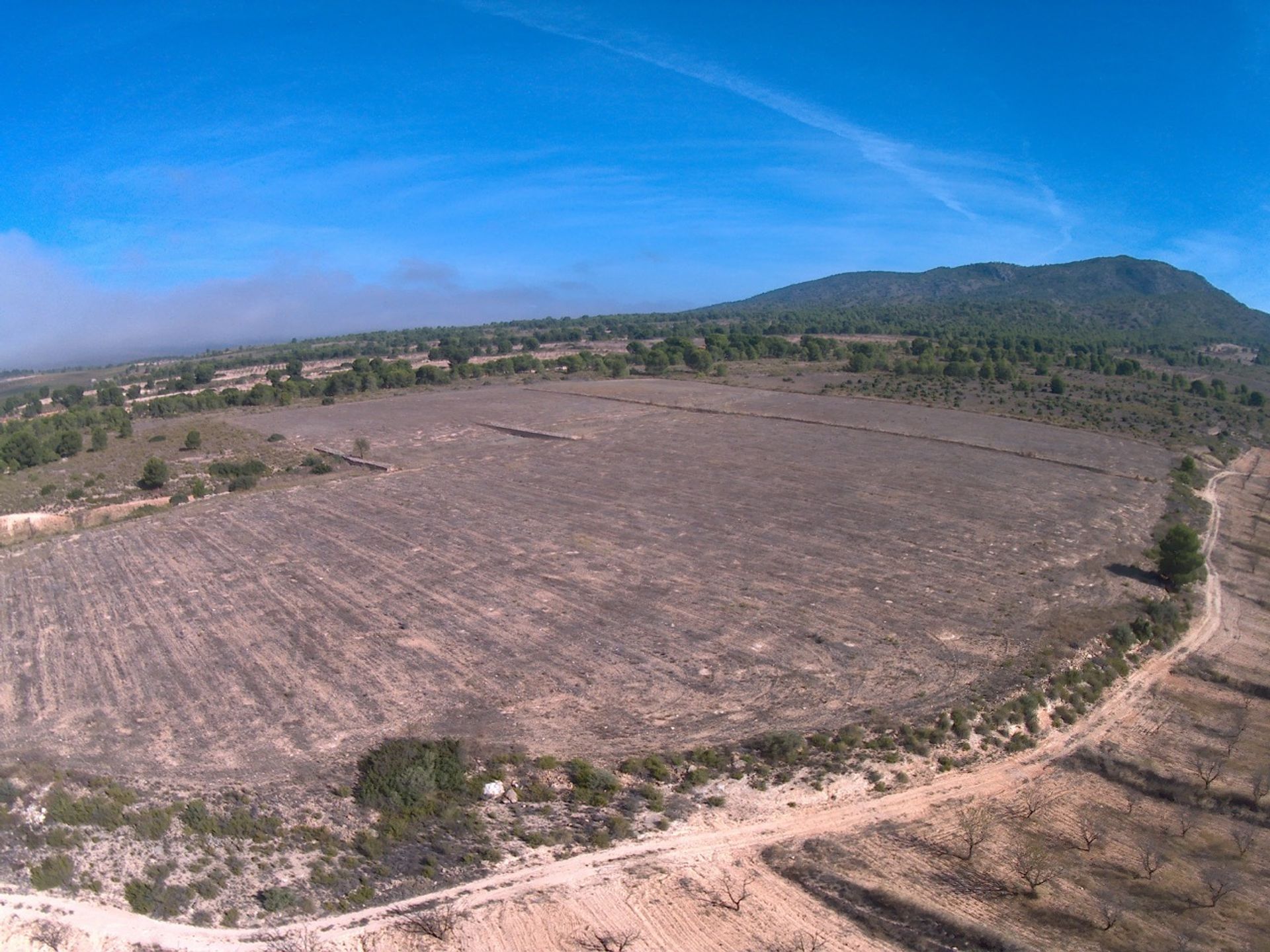 loger dans Yecla, Región de Murcia 12791165