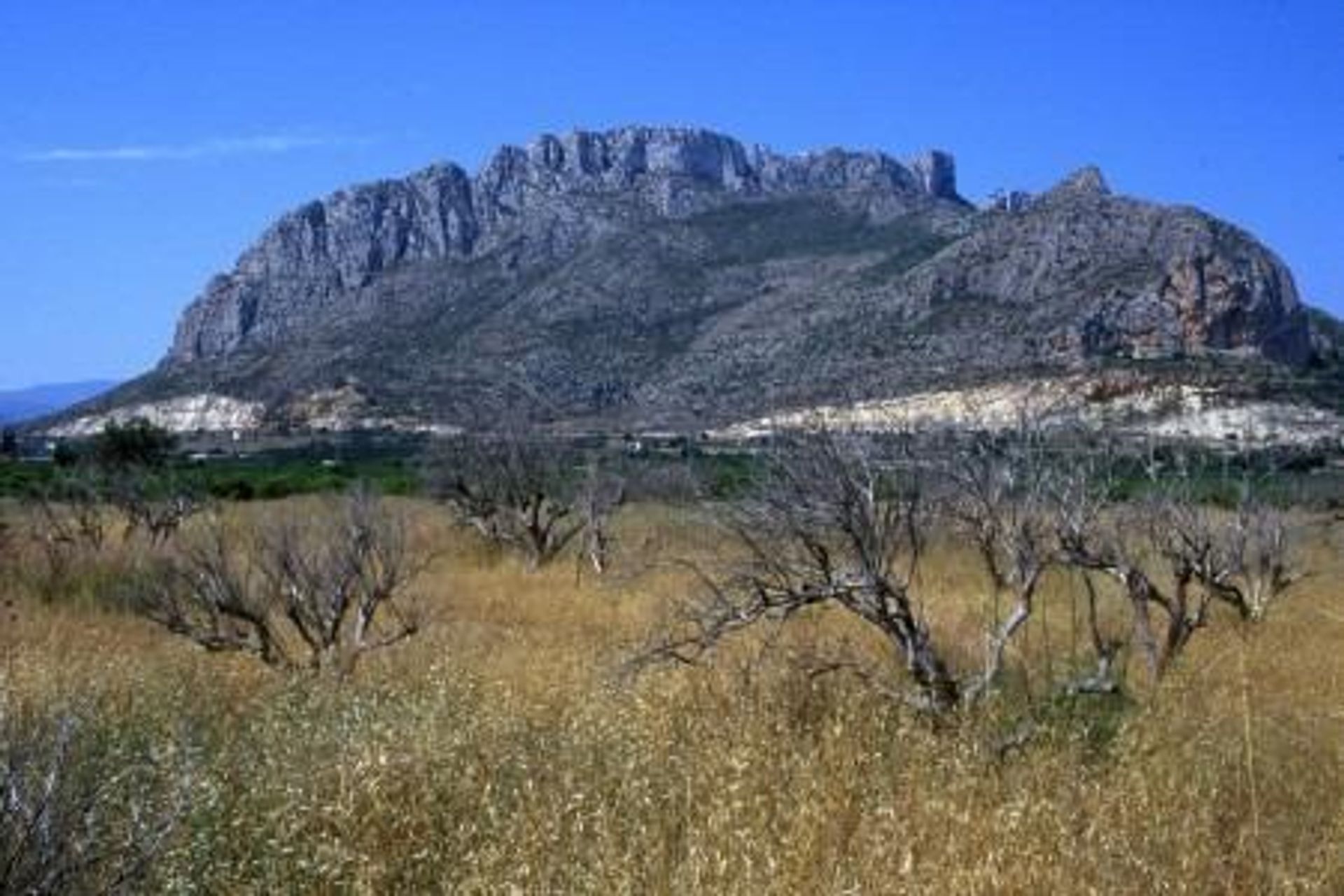 Borettslag i El Verger, Comunidad Valenciana 12791395