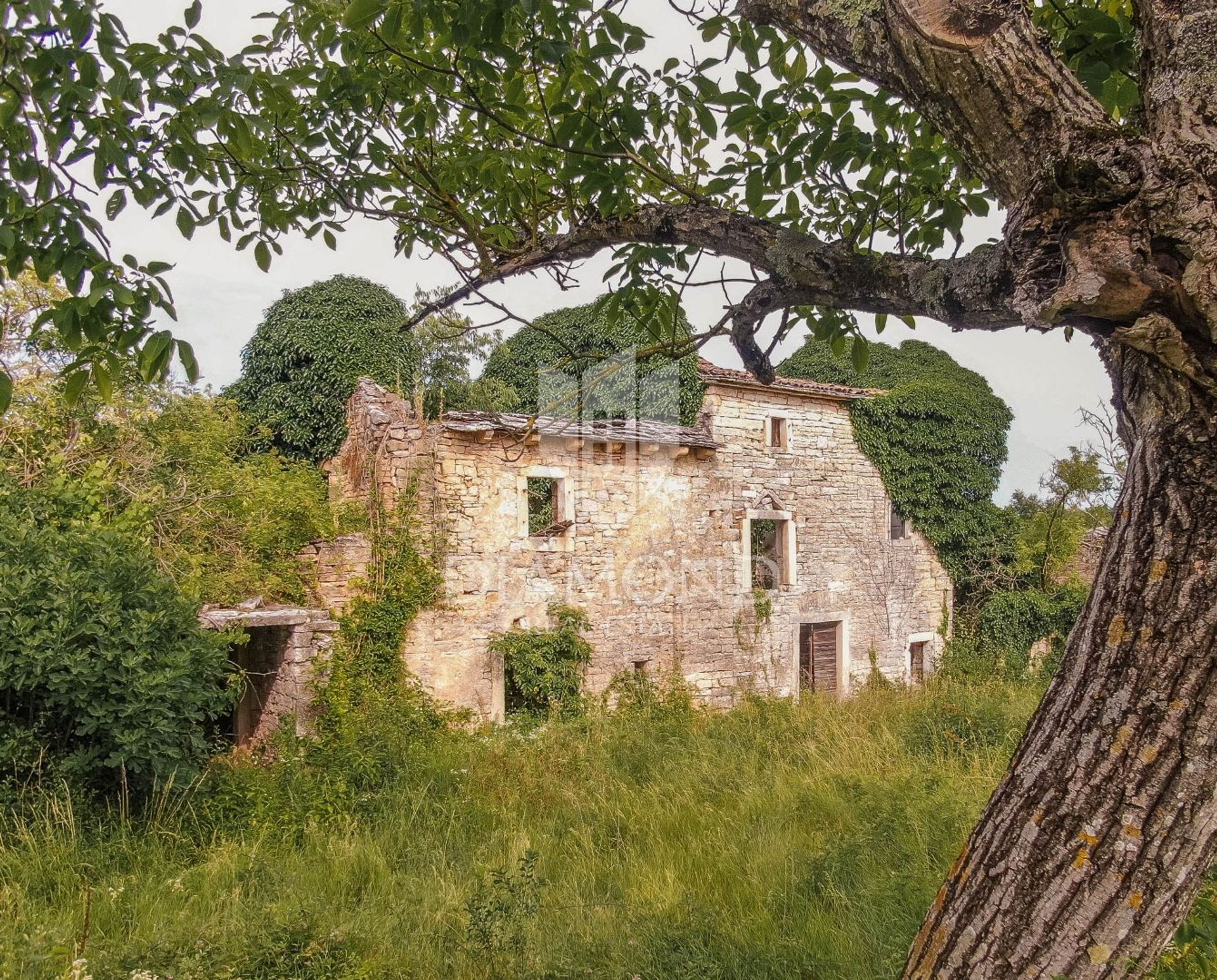 rumah dalam Žminj, Istria County 12792420