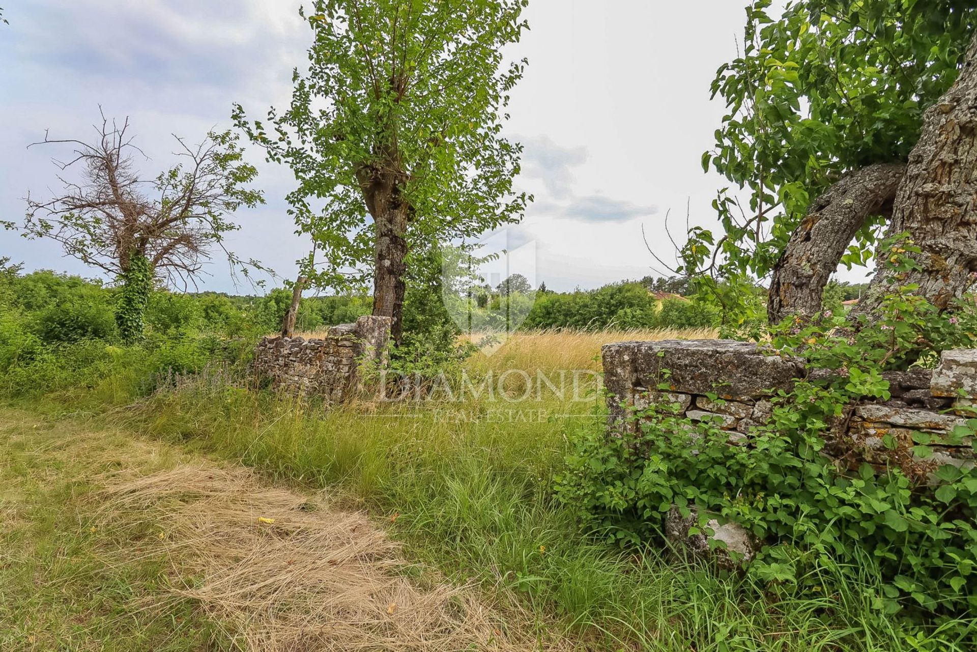 Huis in Žminj, Istria County 12792420