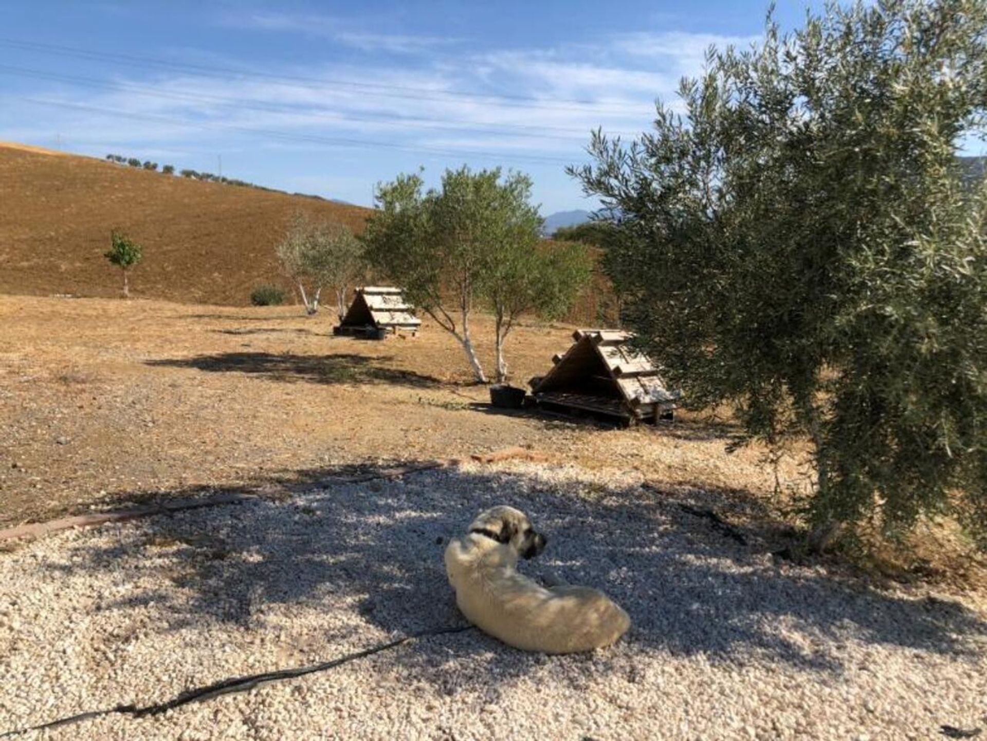 Casa nel Álora, Andalucía 12792784