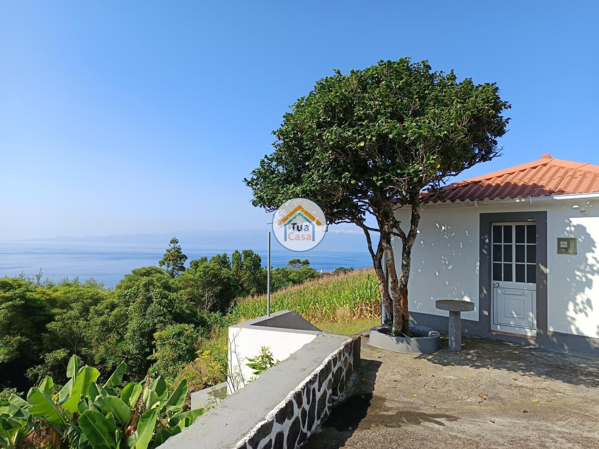 Haus im Calheta, Azoren 12794595