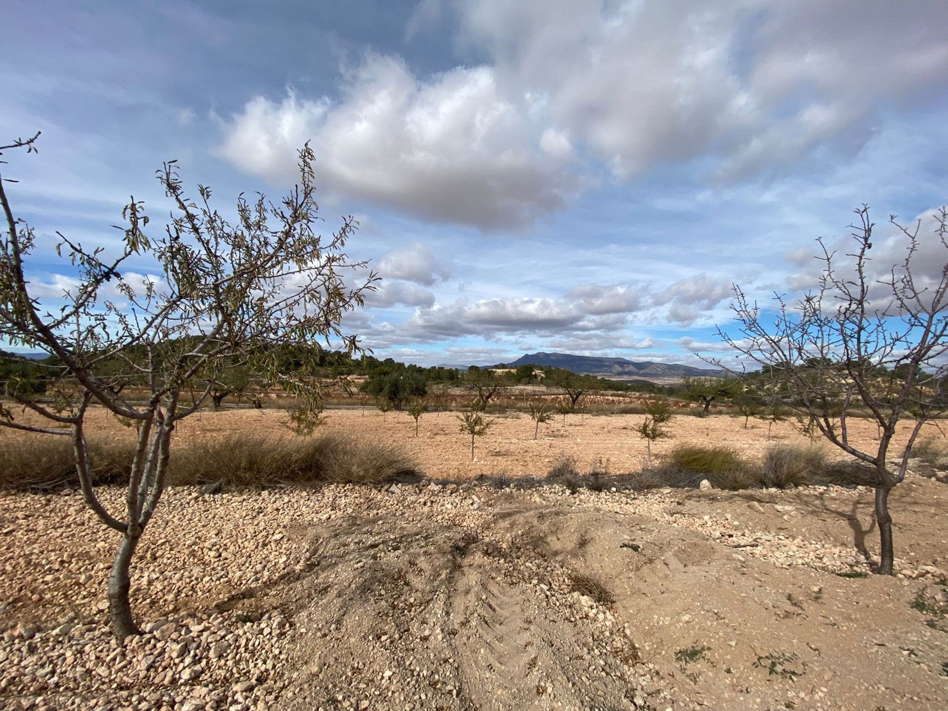 بيت في Abanilla, Región de Murcia 12795492