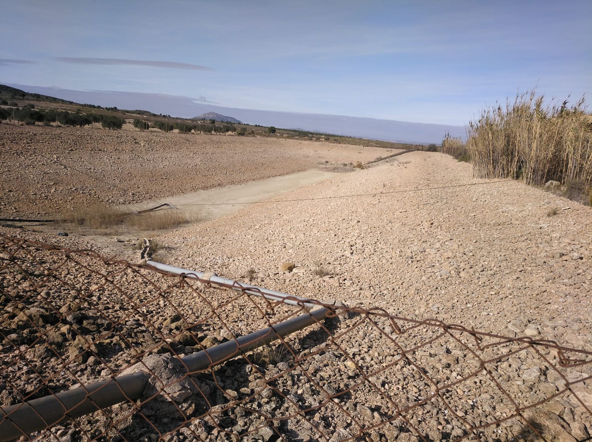 Terre dans Yecla, Región de Murcia 12795675