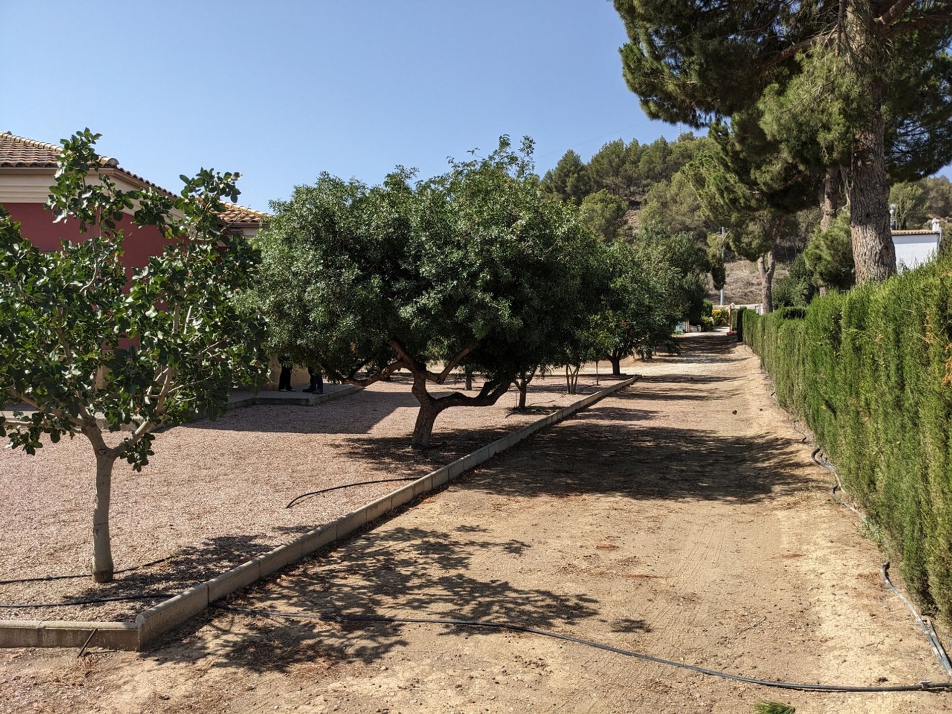 Dom w Cehegín, Región de Murcia 12795986