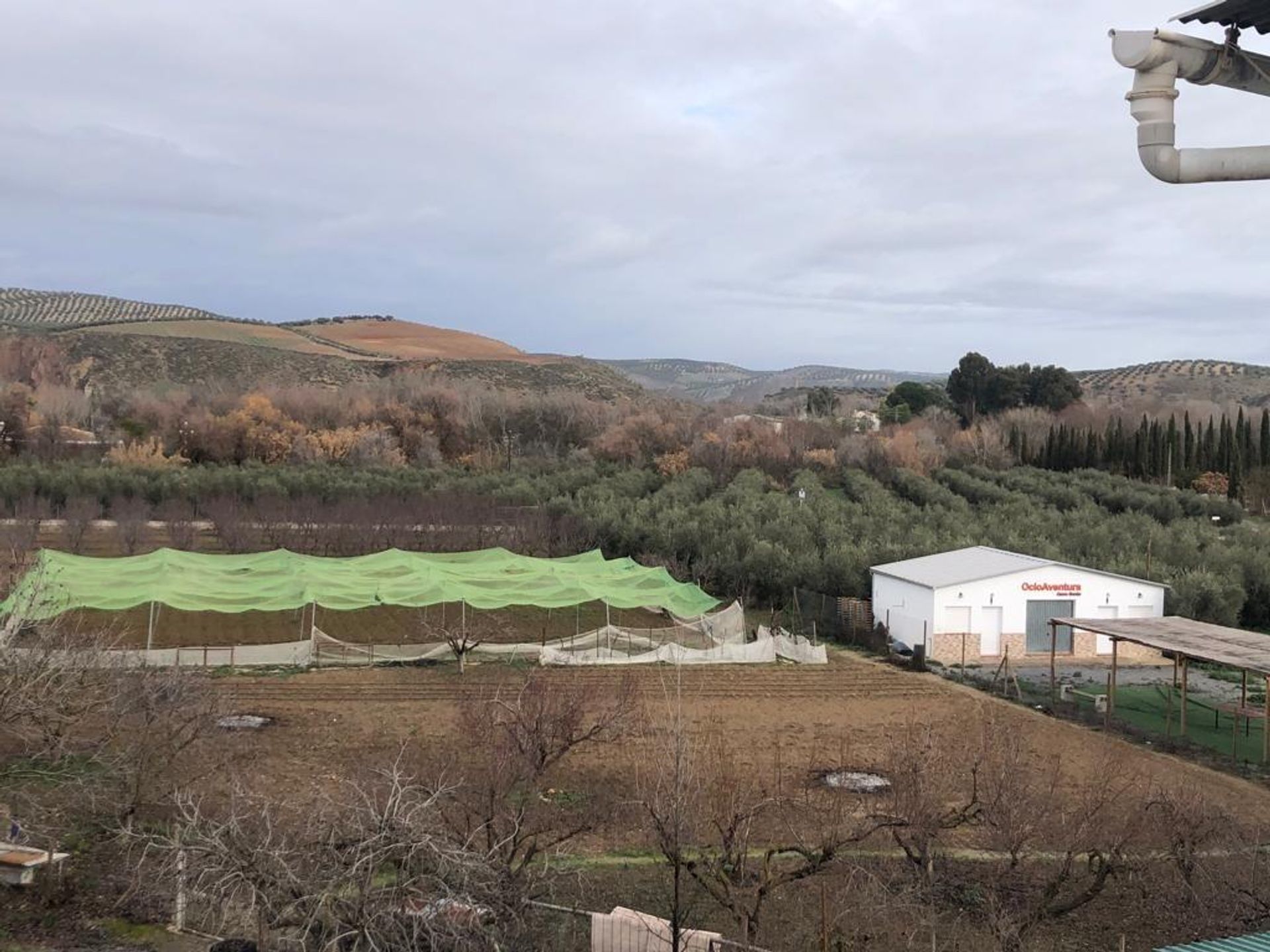 Hus i Cuevas Bajas, Andalucía 12796148