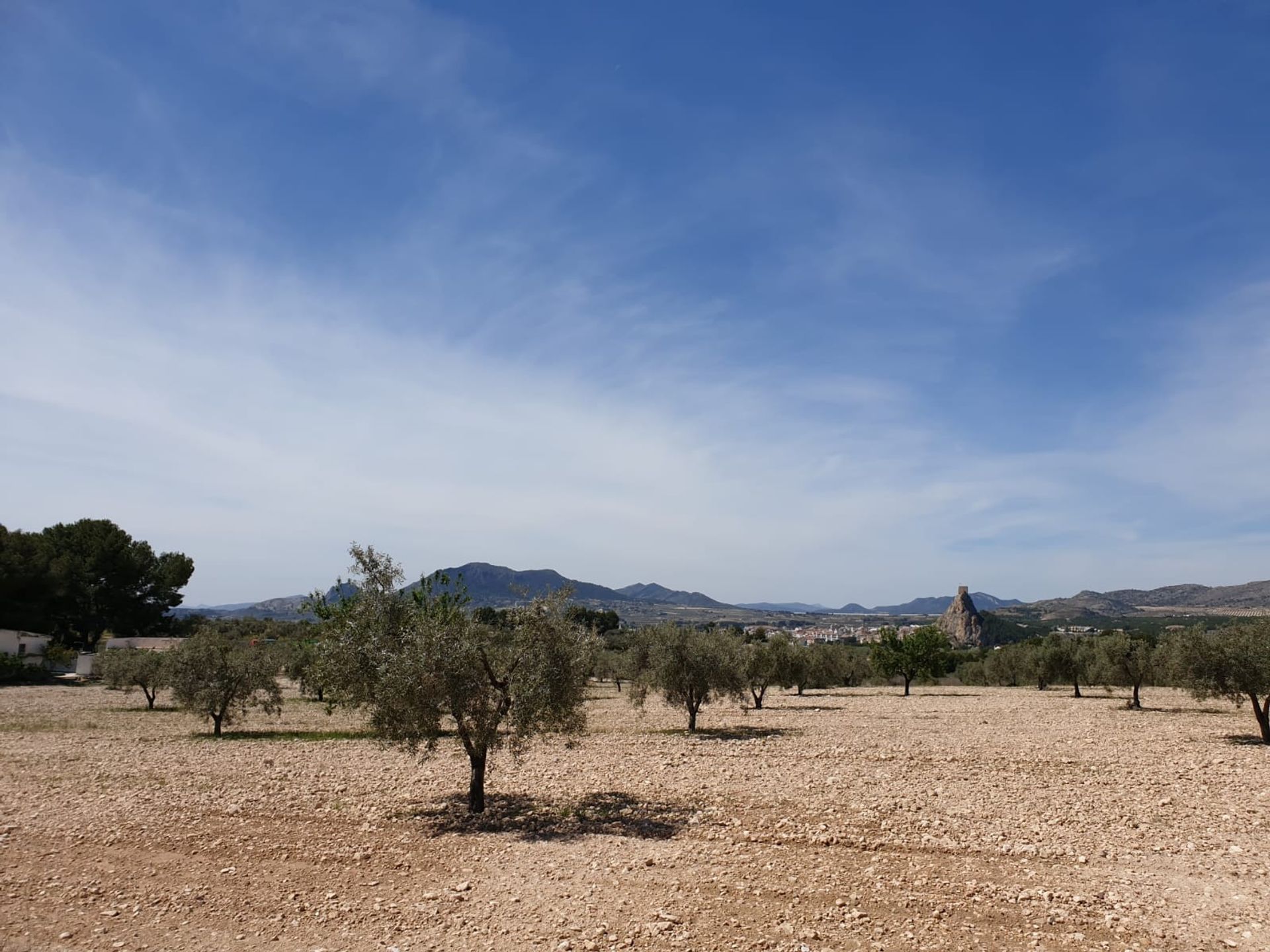 casa no Sax, Comunidad Valenciana 12798231